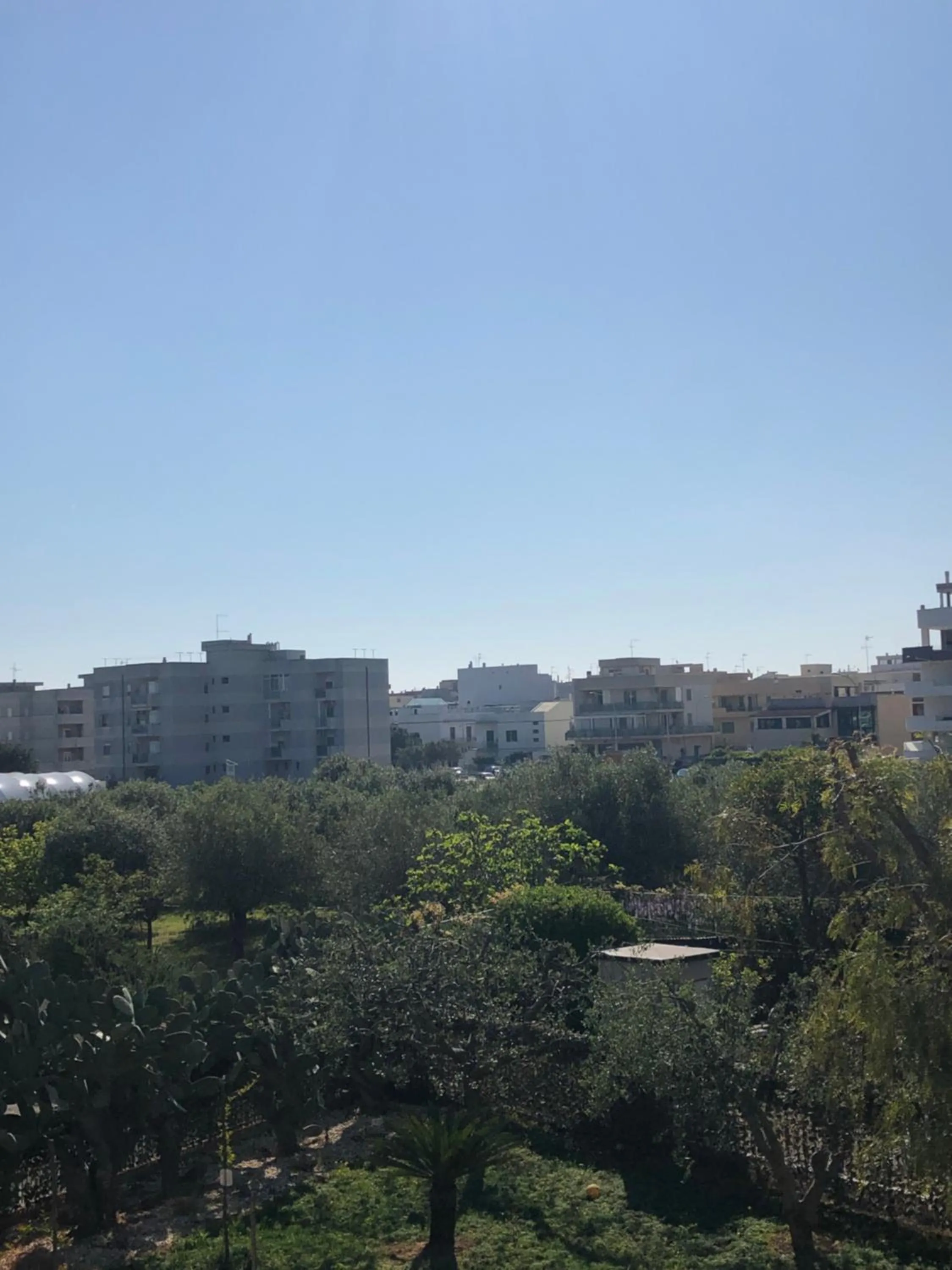 Neighbourhood in B&B SMILE