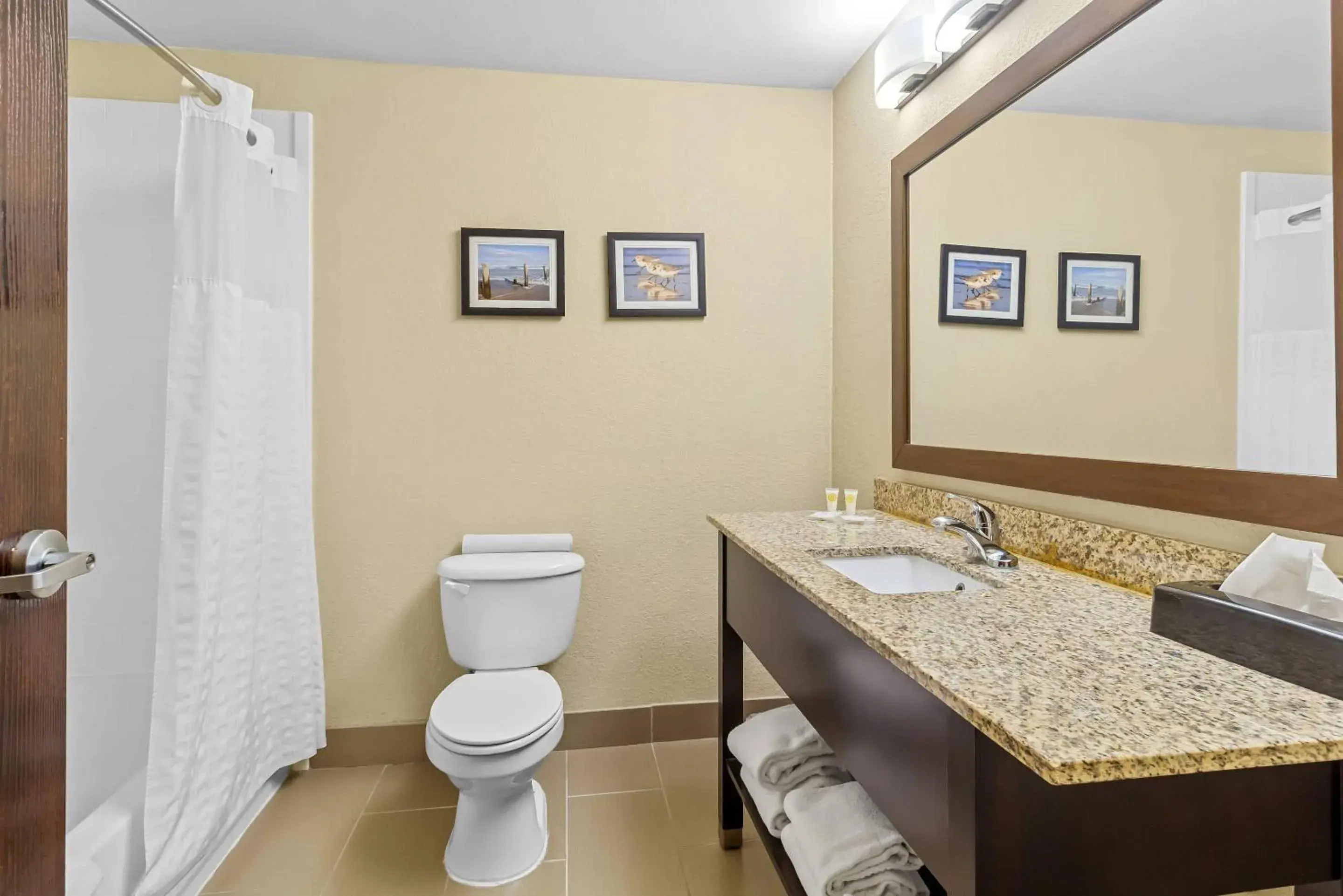 Bedroom in Comfort Suites Lake Jackson Clute Bedroom in Comfort Suites Lake Jackson Clute