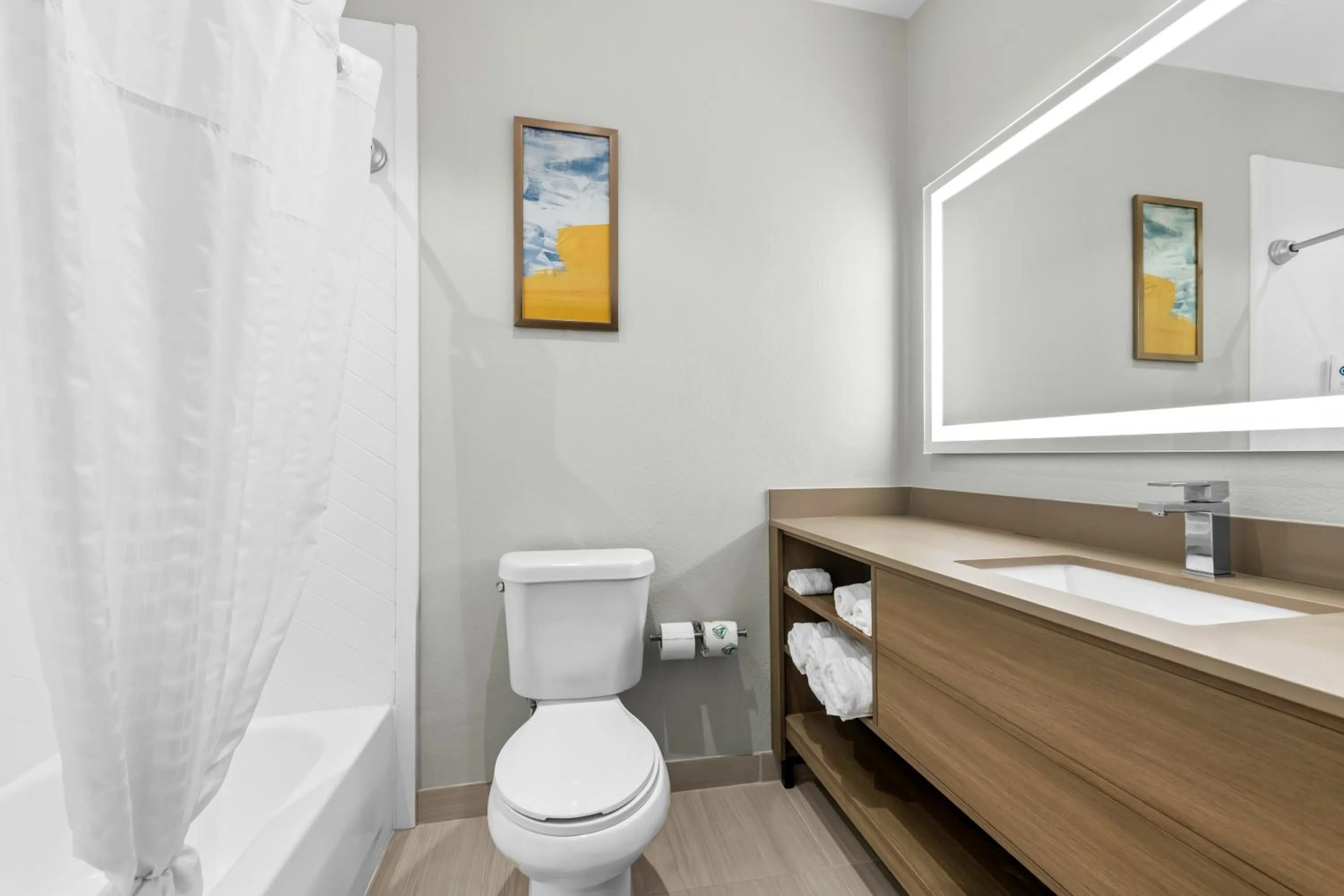 Toilet in Comfort Suites Texarkana Texas