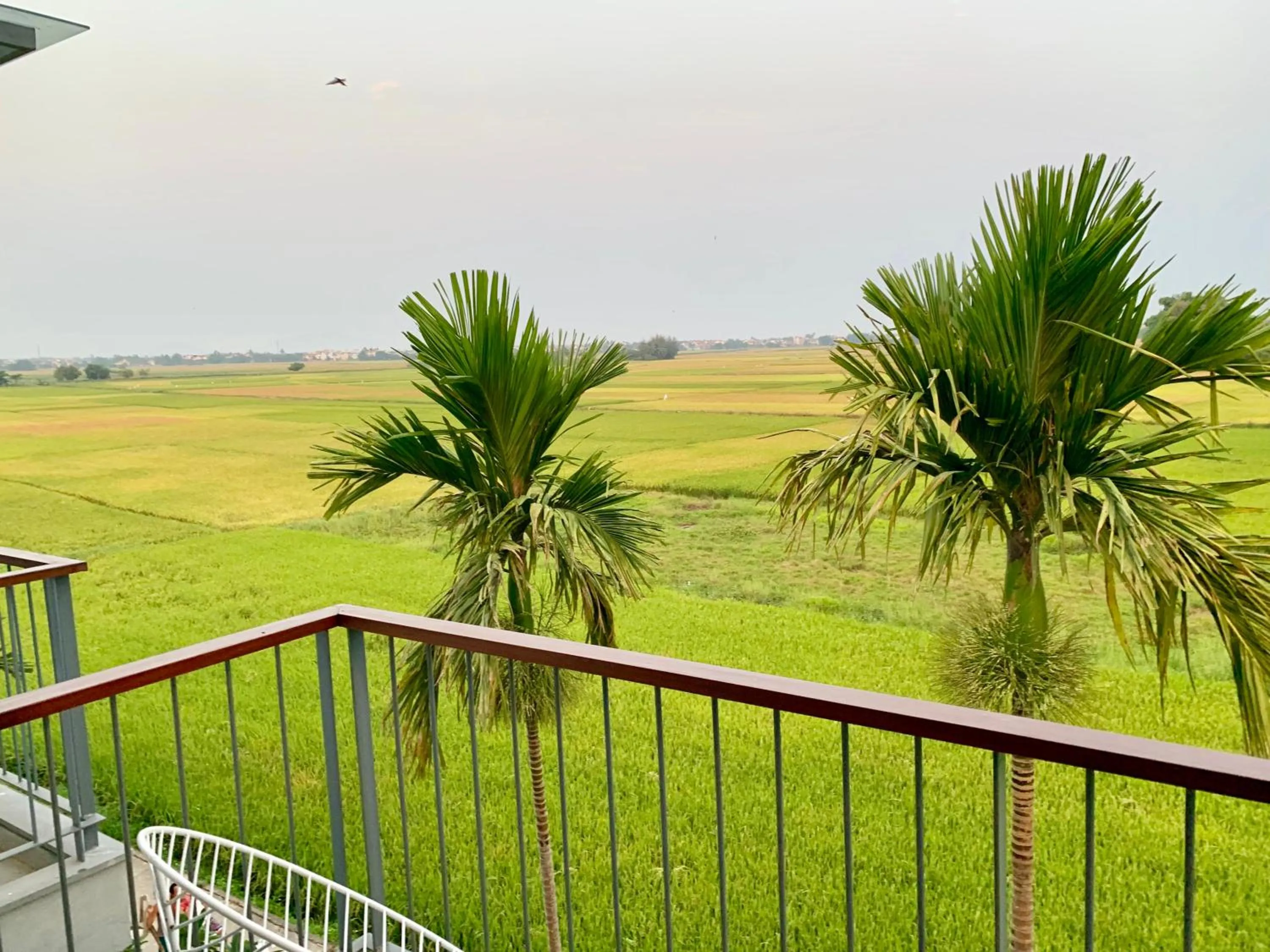 Hoian Tranquil Lodge - Chon Binh Yen