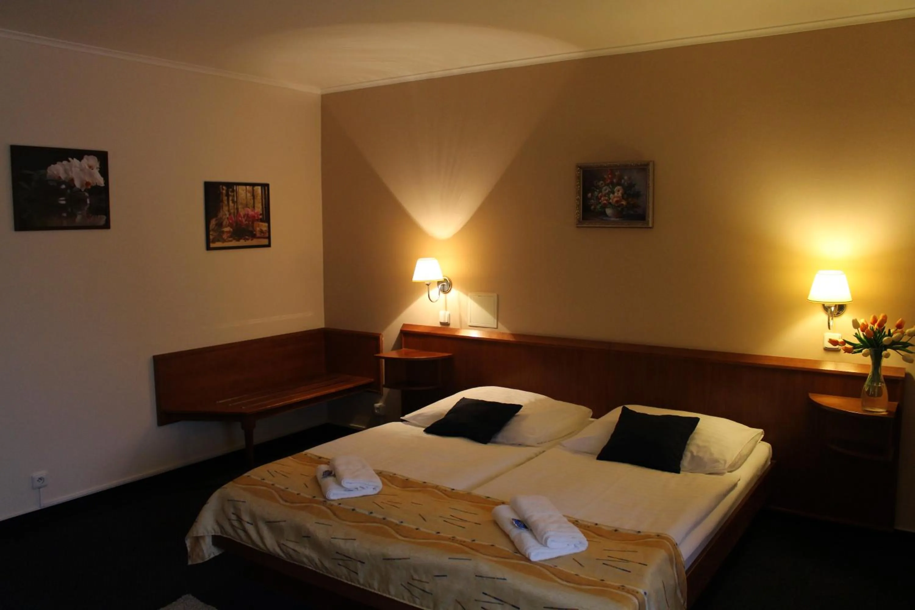 Bed in Zámecký Hotel Zlatý Orel