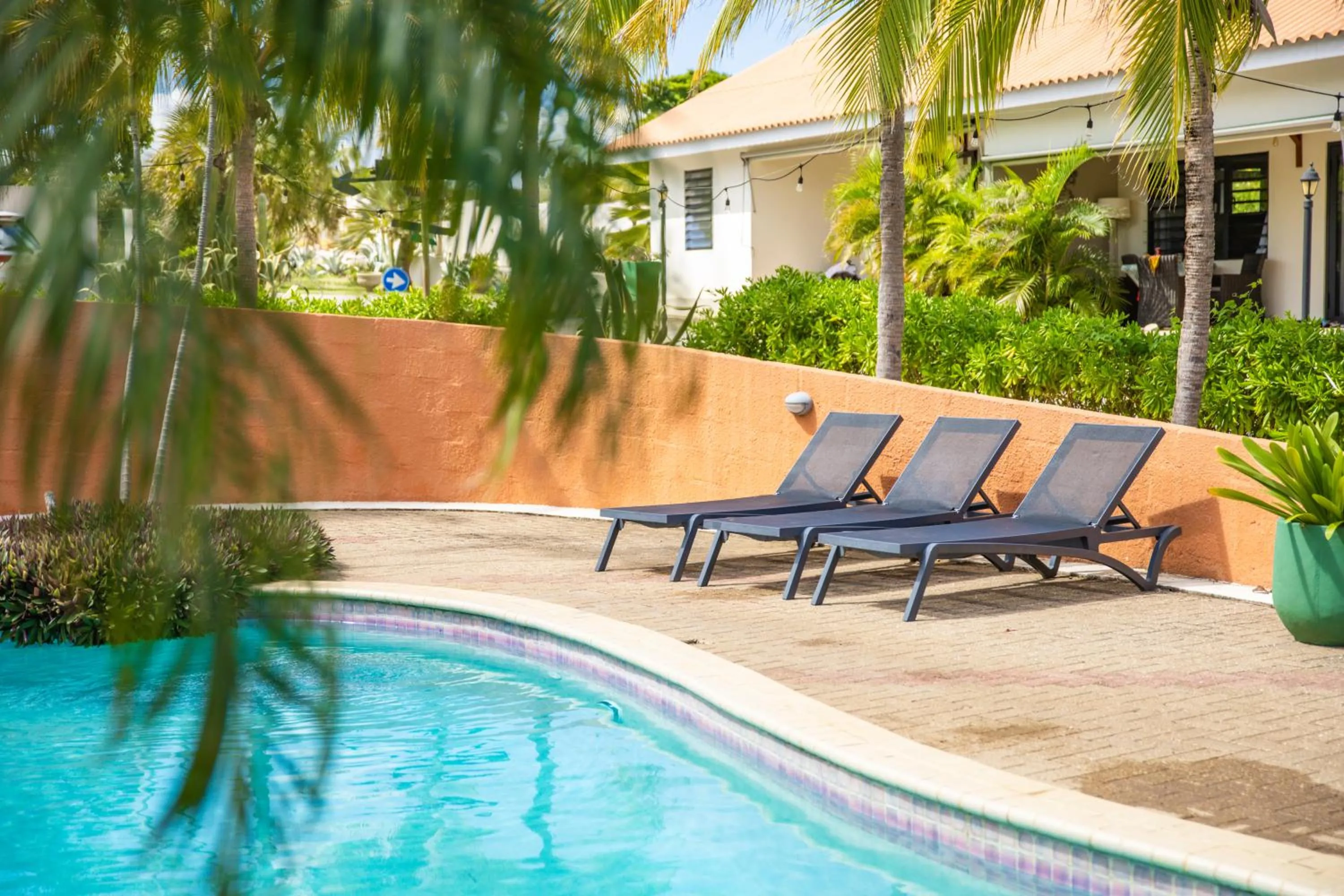 Swimming pool in ABC Lodges Curacao