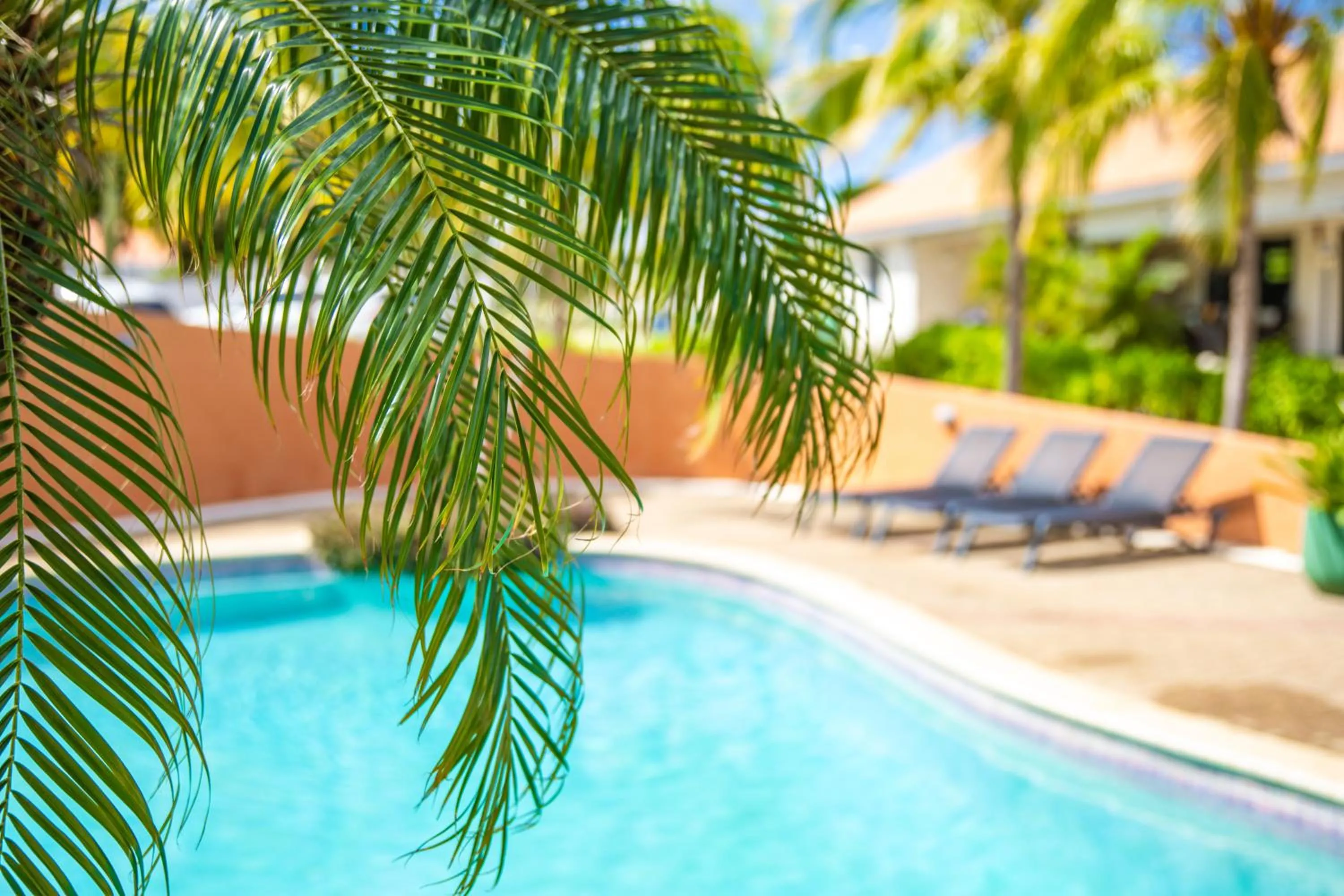 Swimming pool in ABC Lodges Curacao