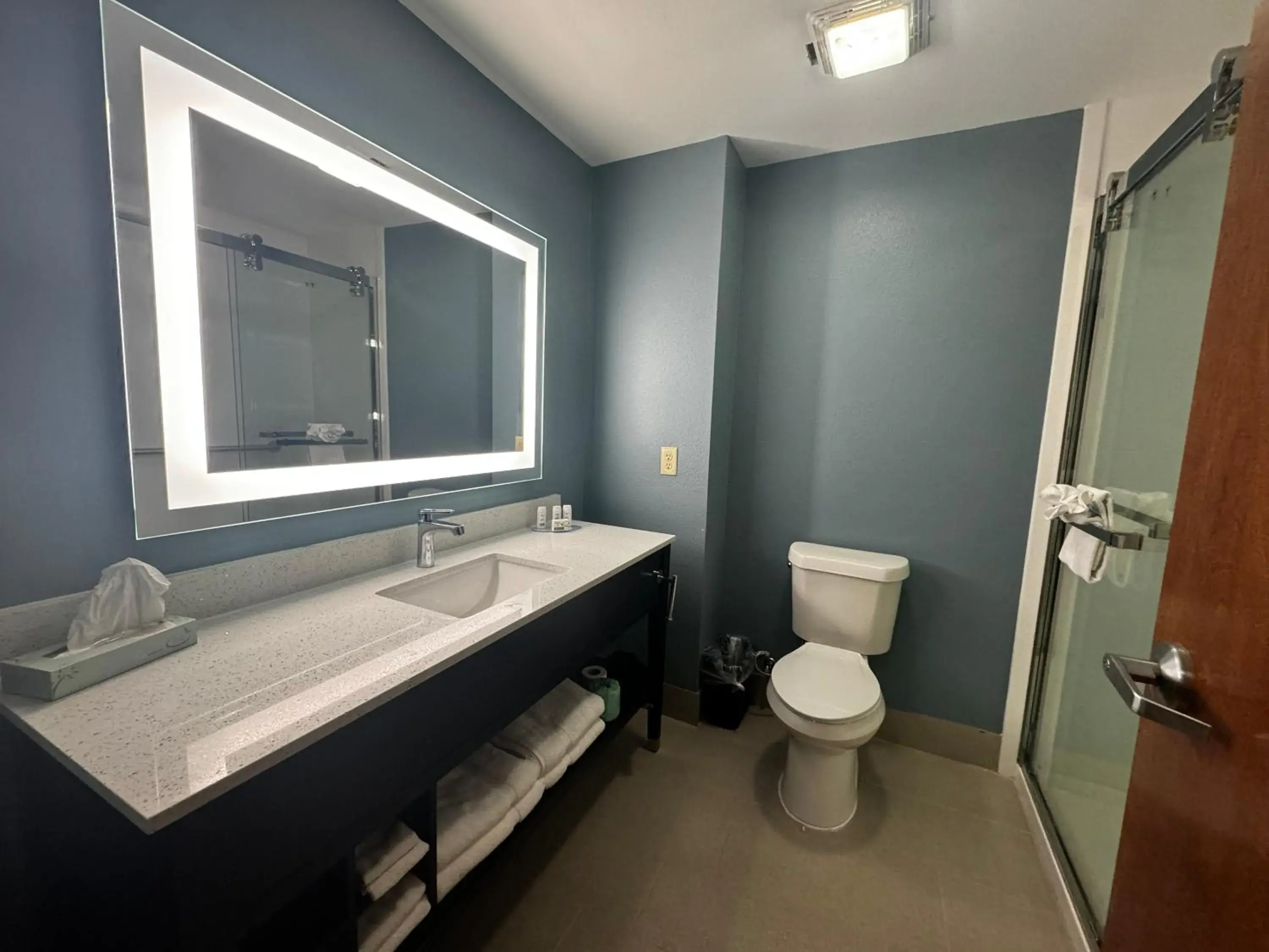King Suite with Roll-In Shower and Kitchenette - Non-Smoking/Mobility Accessible in Wingate by Wyndham College Station South King Suite with Roll-In Shower and Kitchenette - Non-Smoking/Mobility Accessible in Wingate by Wyndham College Station South