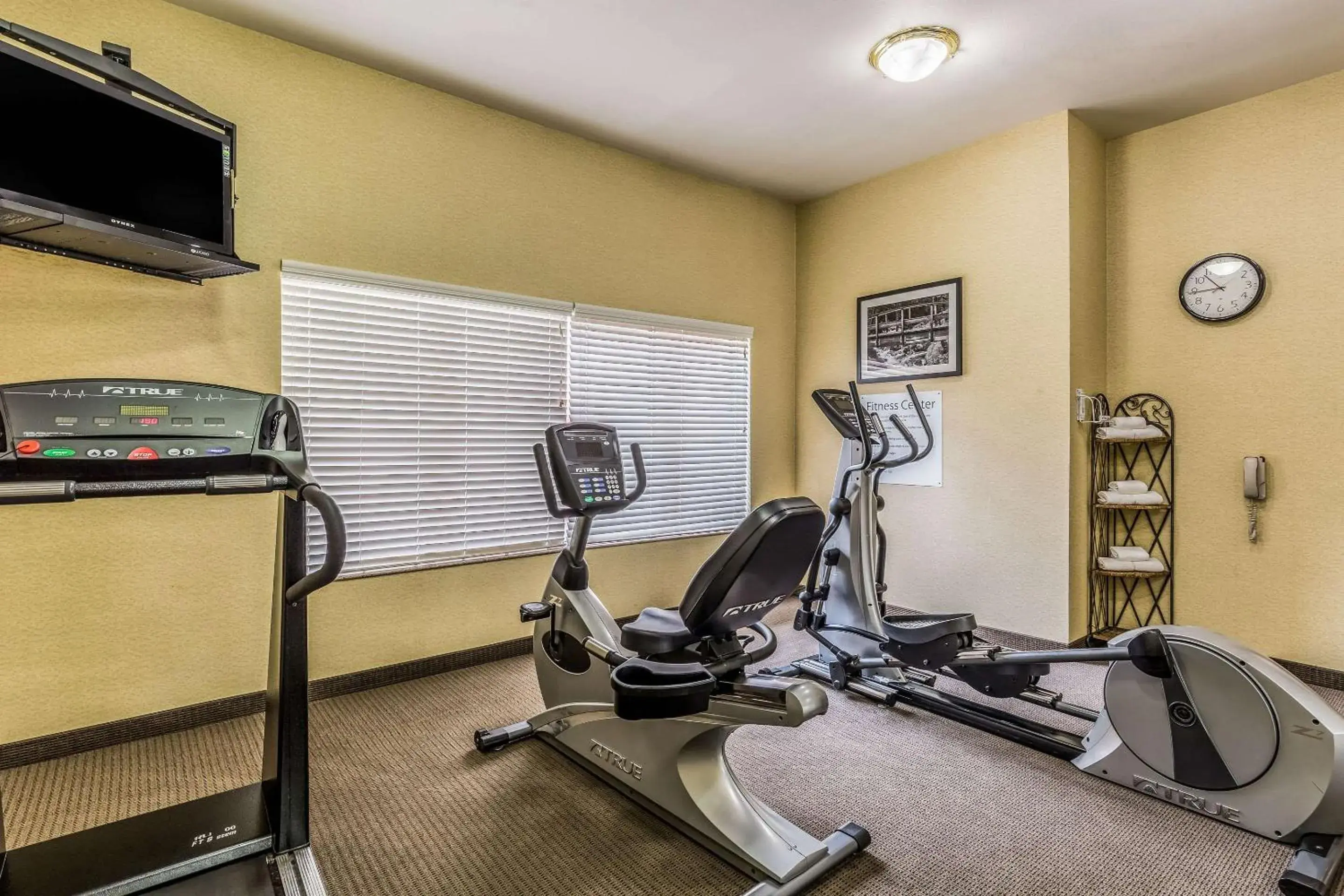 Fitness centre/facilities in Sleep Inn & Suites Stafford - Sugarland Fitness centre/facilities in Sleep Inn & Suites Stafford - Sugarland