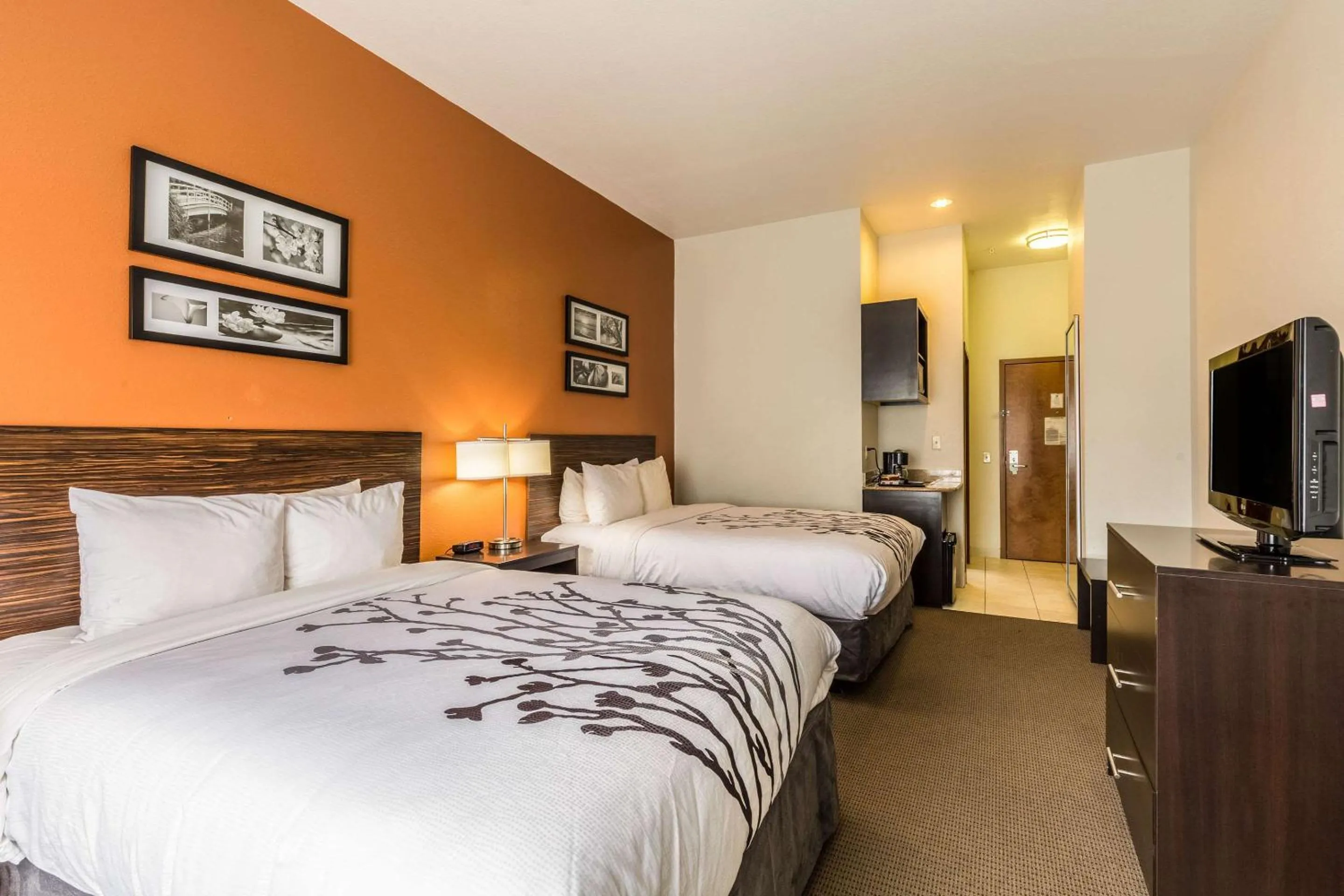 Photo of the whole room, Bed in Sleep Inn & Suites Stafford - Sugarland