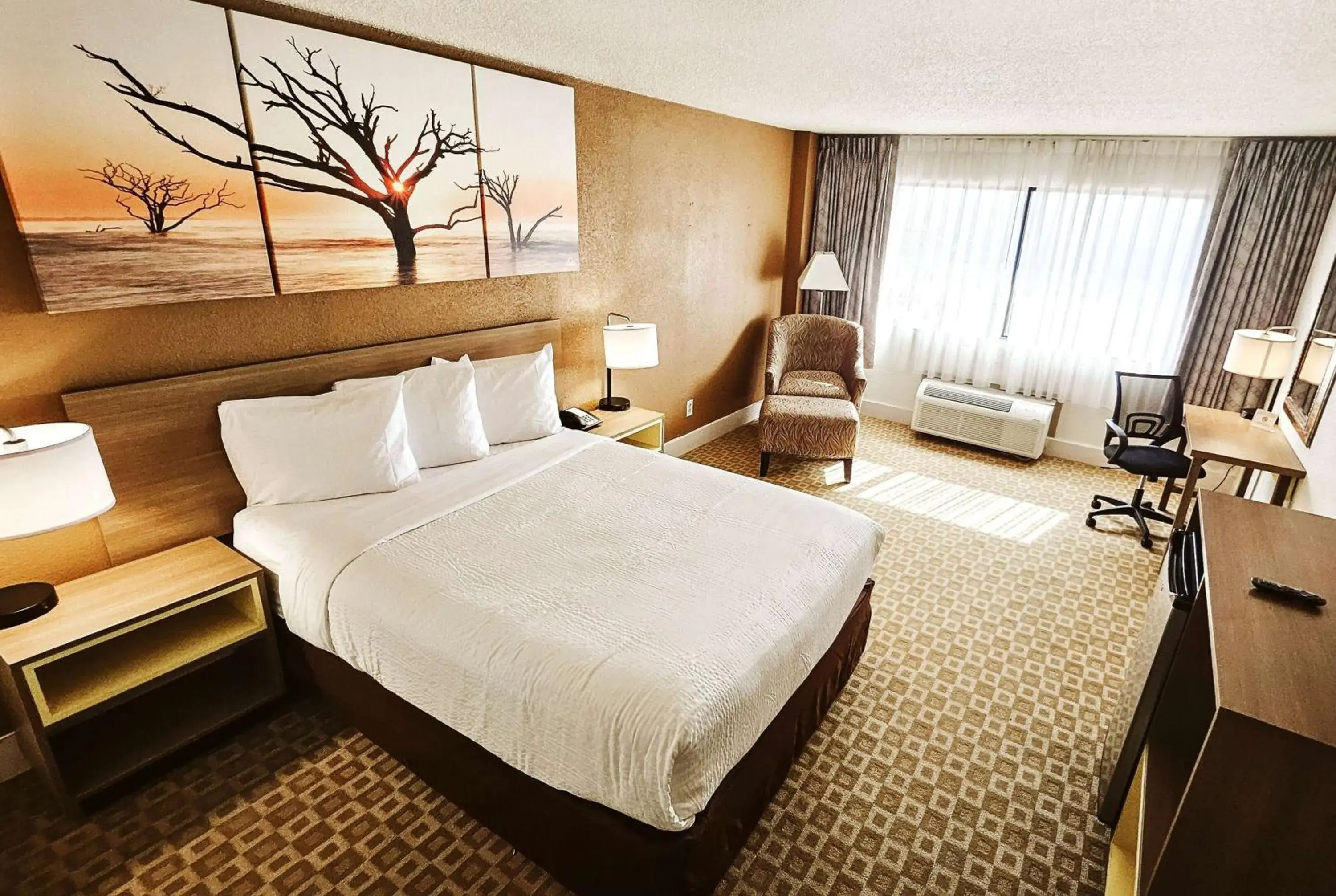 Photo of the whole room, Bed in Days Inn by Wyndham Sherman Photo of the whole room, Bed in Days Inn by Wyndham Sherman