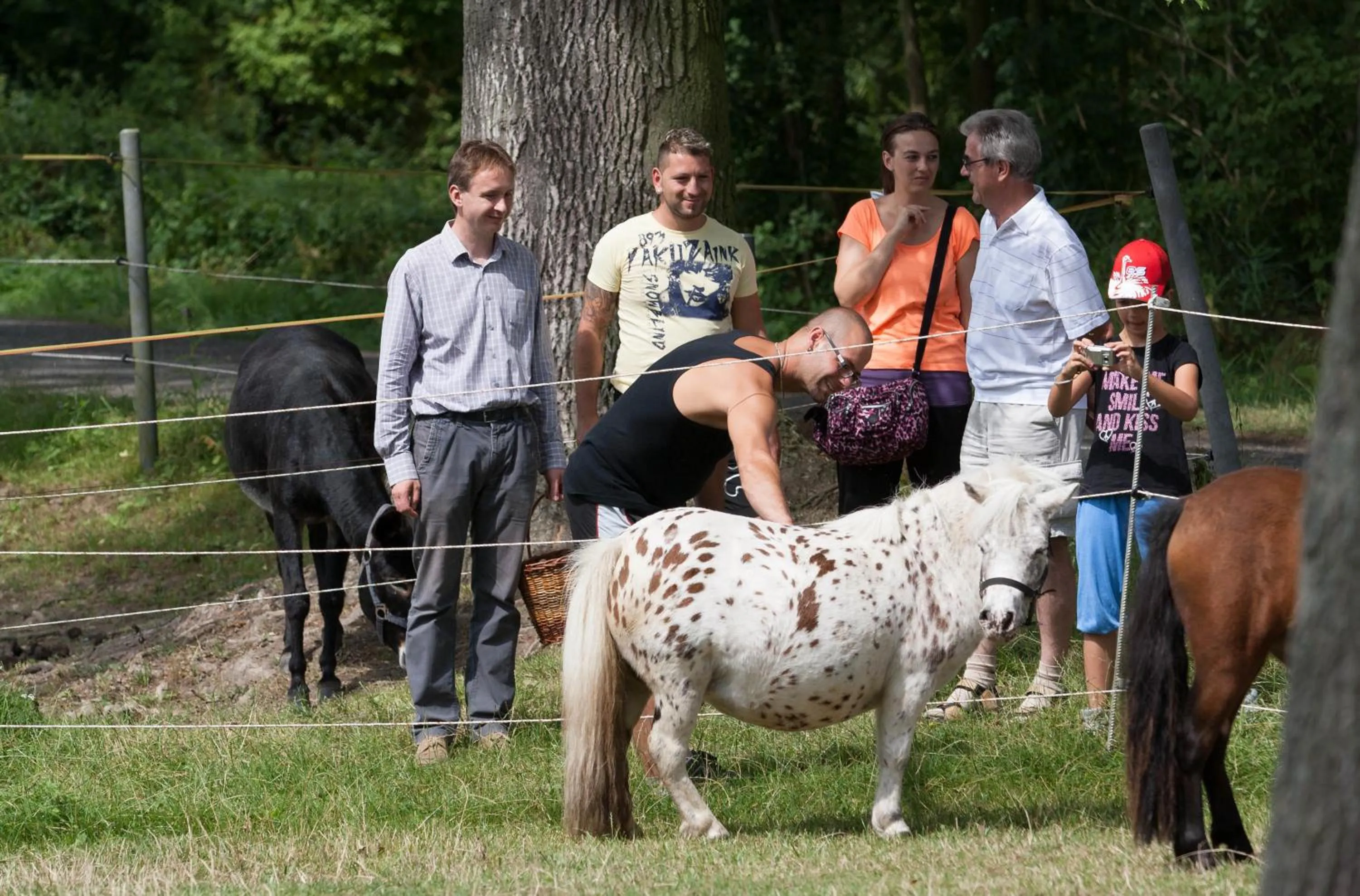 Garden in Hotel Resort Stein
