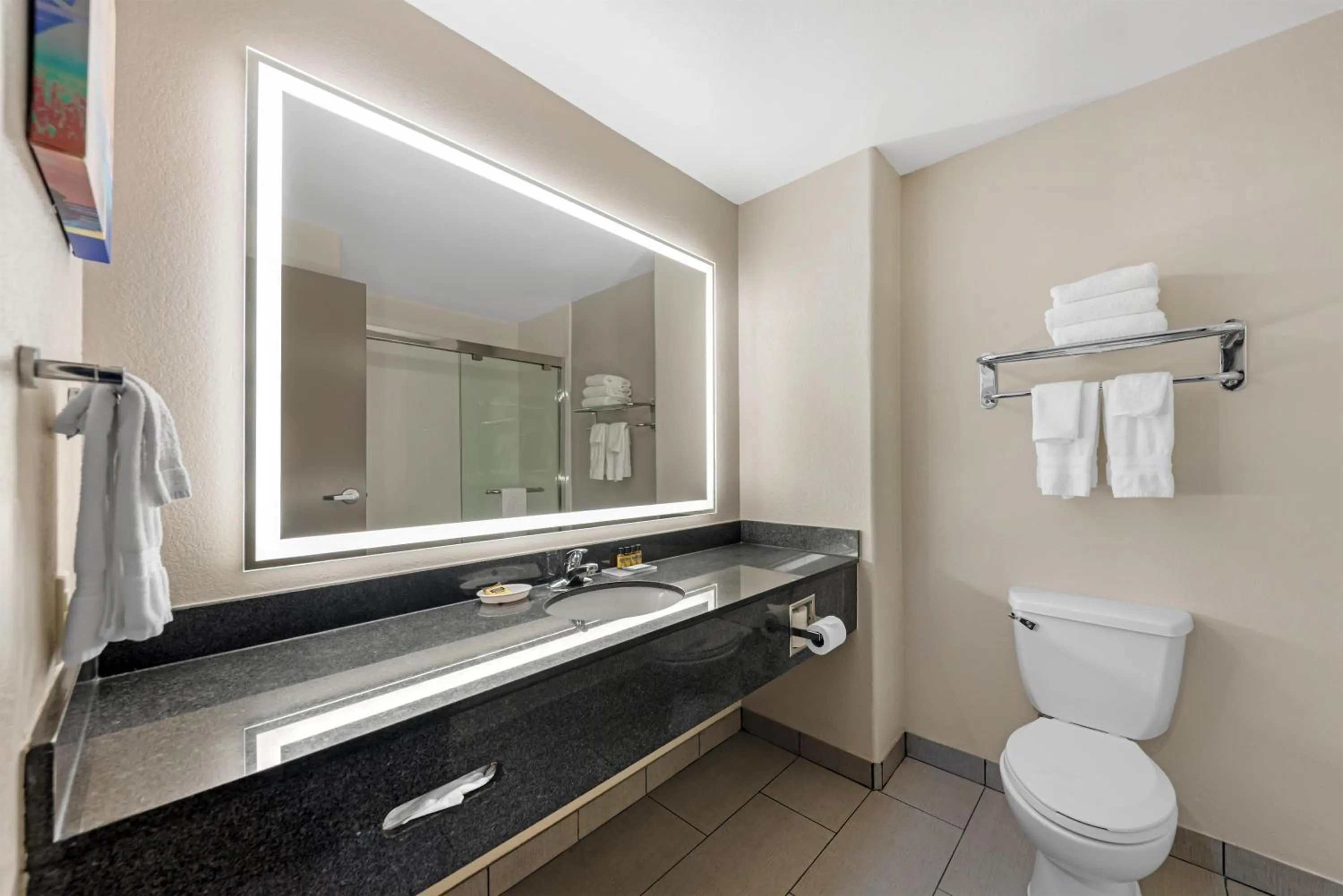 Bathroom in Best Western Plus Killeen - Fort Cavazos Hotel & Suites