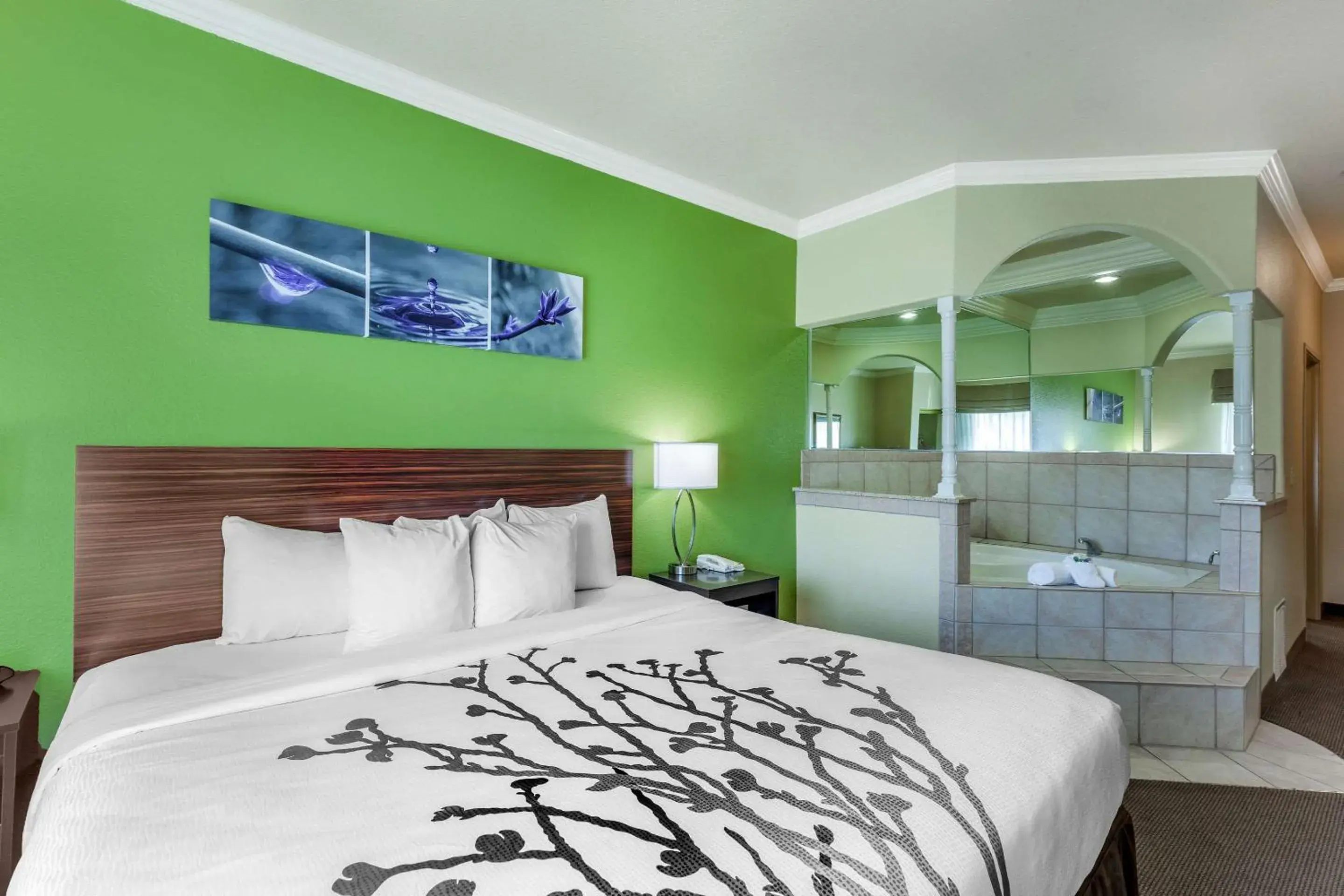 Photo of the whole room, Bed in Sleep Inn & Suites Hewitt - South Waco Photo of the whole room, Bed in Sleep Inn & Suites Hewitt - South Waco