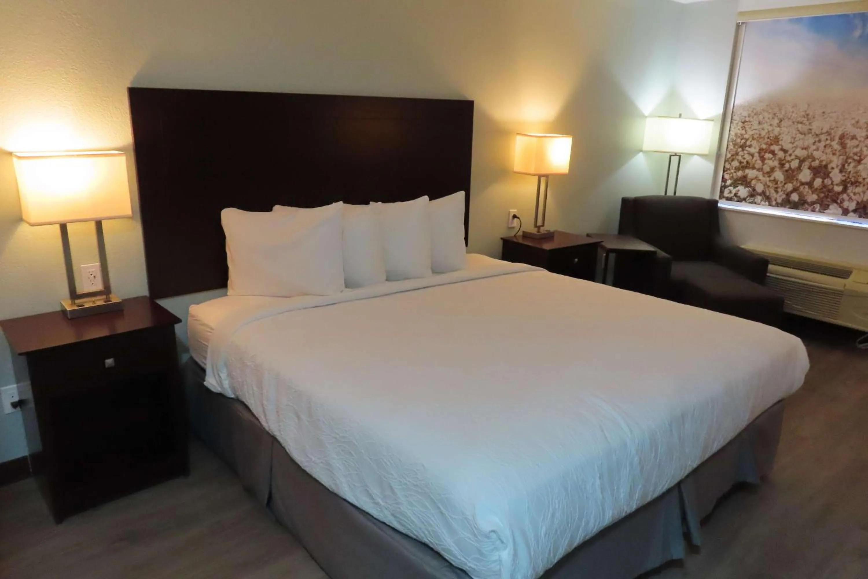 Bedroom, Bed in Best Western Childress West Hotel