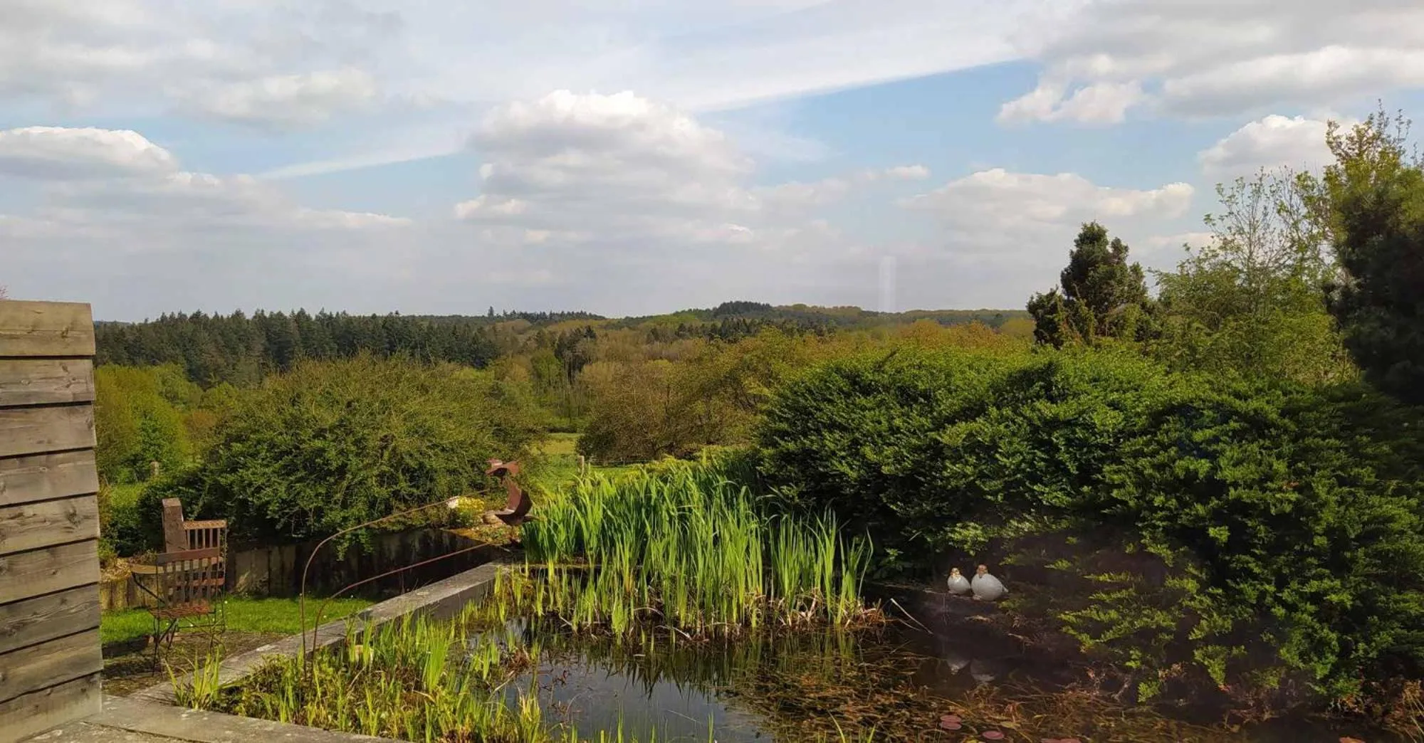 Natural landscape in B&B Plattestien