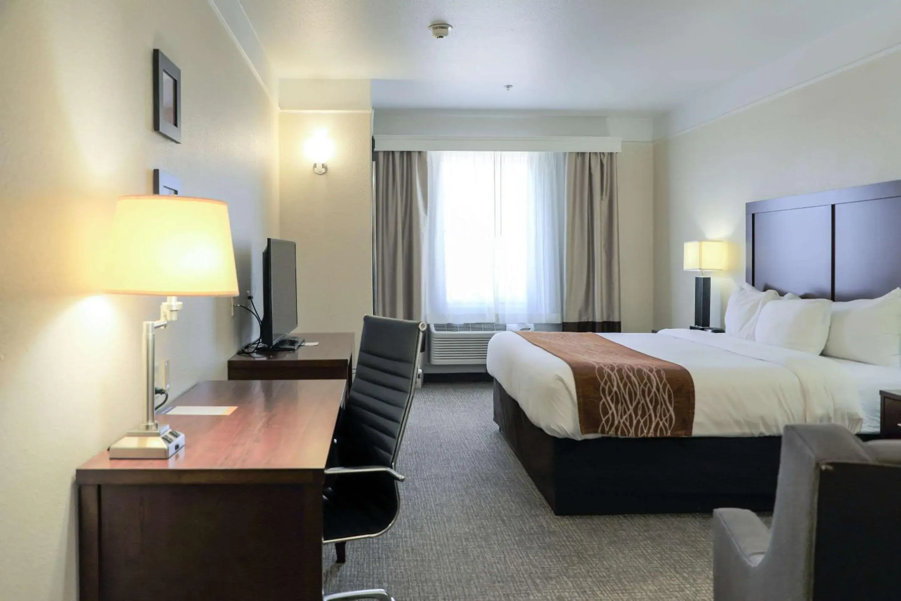 TV and multimedia, Bed in Comfort Inn & Suites, Odessa I-20 TV and multimedia, Bed in Comfort Inn & Suites, Odessa I-20