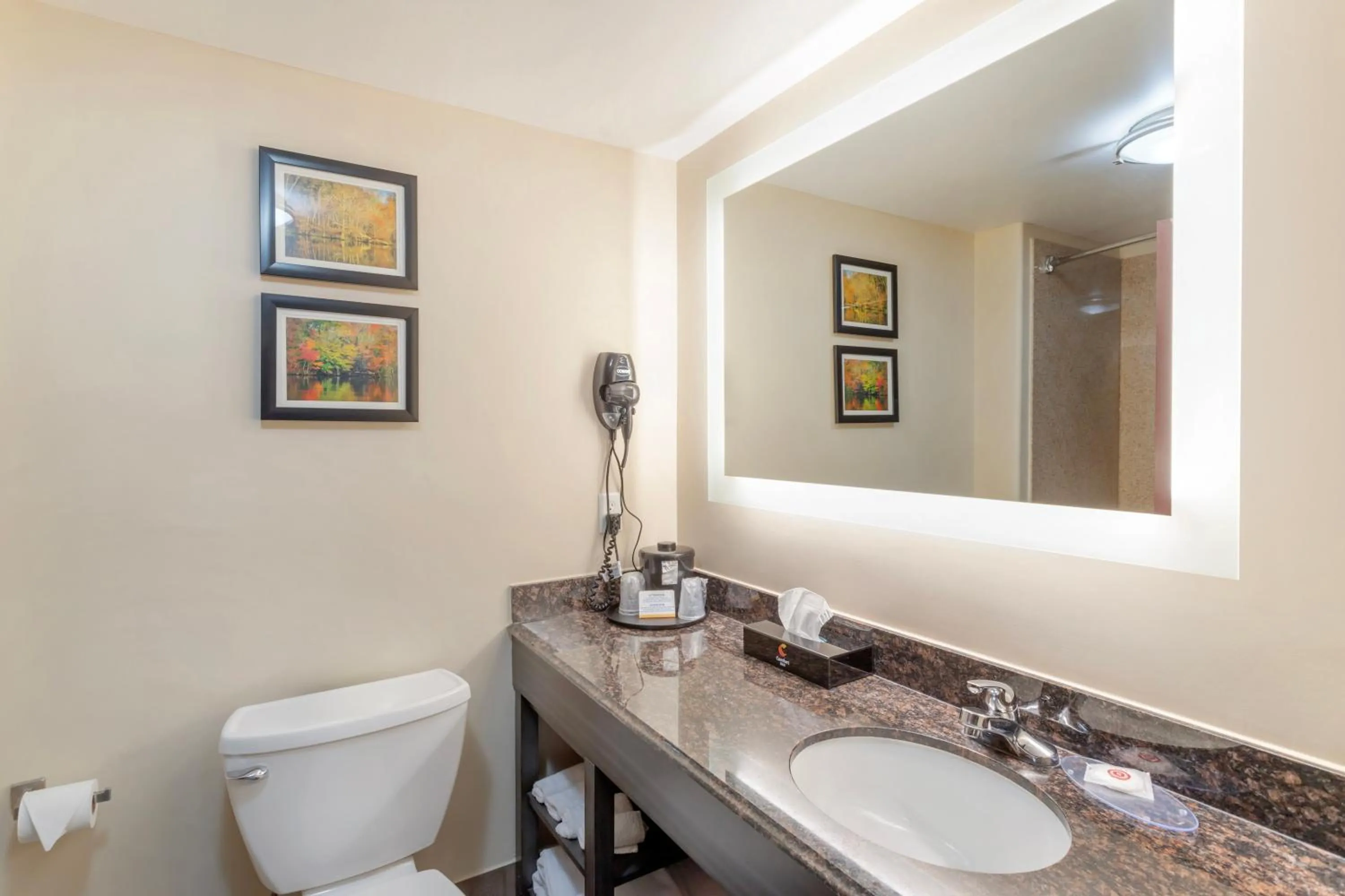 Toilet in Comfort Inn by Choice Hotels Orange, TX