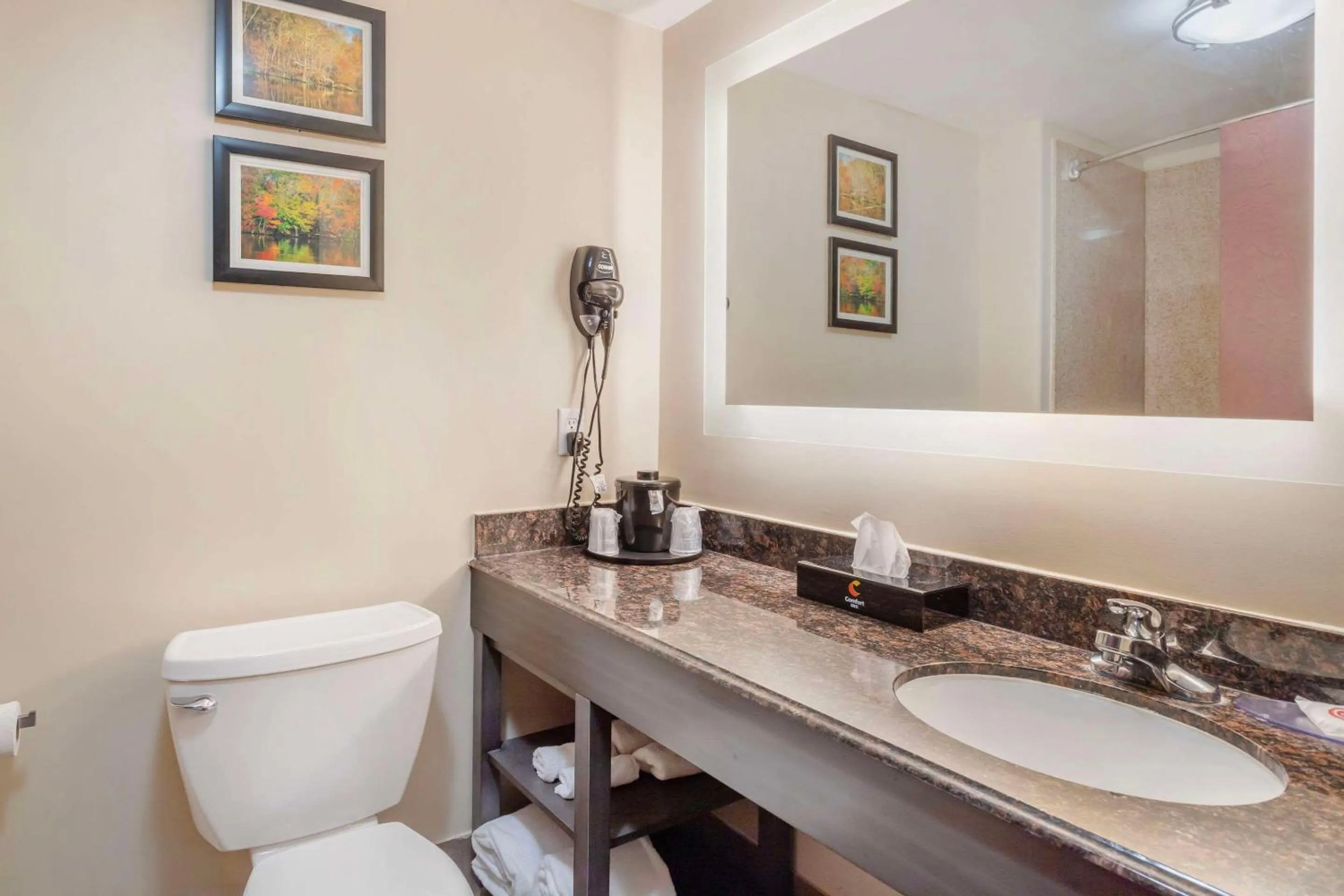 Bedroom in Comfort Inn by Choice Hotels Orange, TX