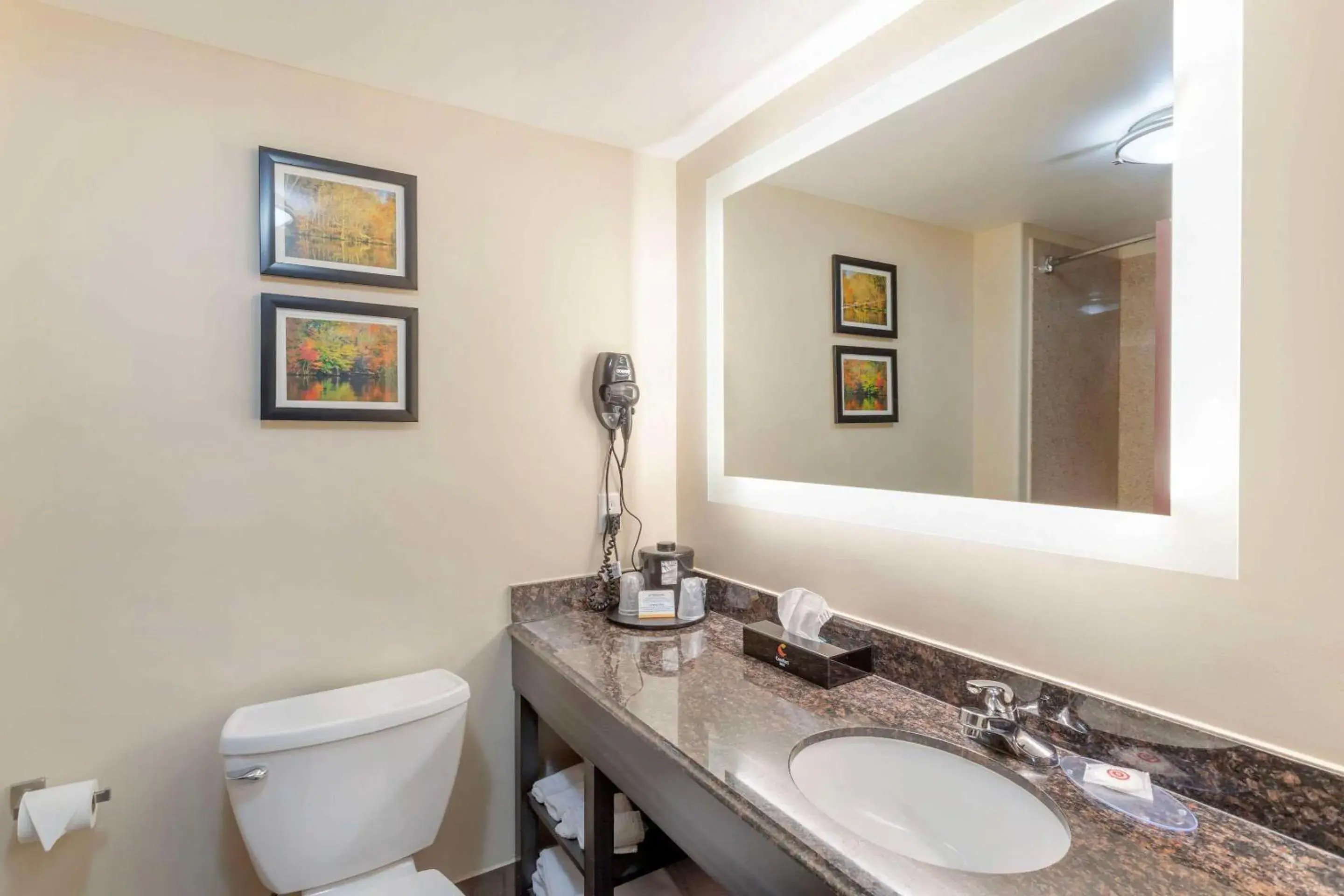 Bedroom in Comfort Inn by Choice Hotels Orange, TX Bedroom in Comfort Inn by Choice Hotels Orange, TX