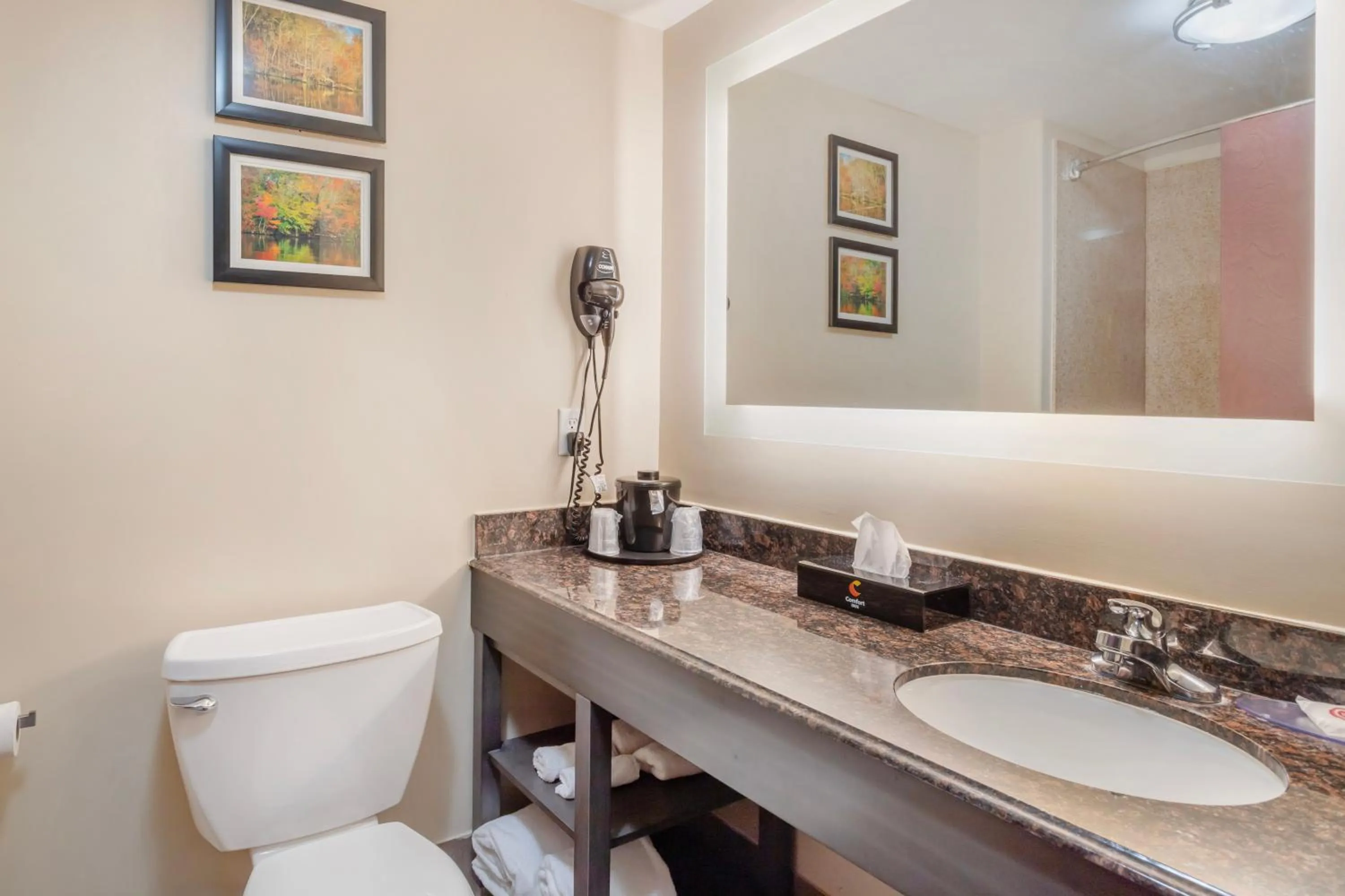 Toilet in Comfort Inn by Choice Hotels Orange, TX