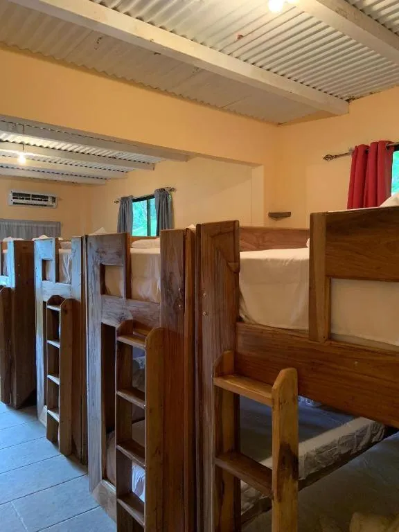 Bed in Planet B Hostel - Adults Only