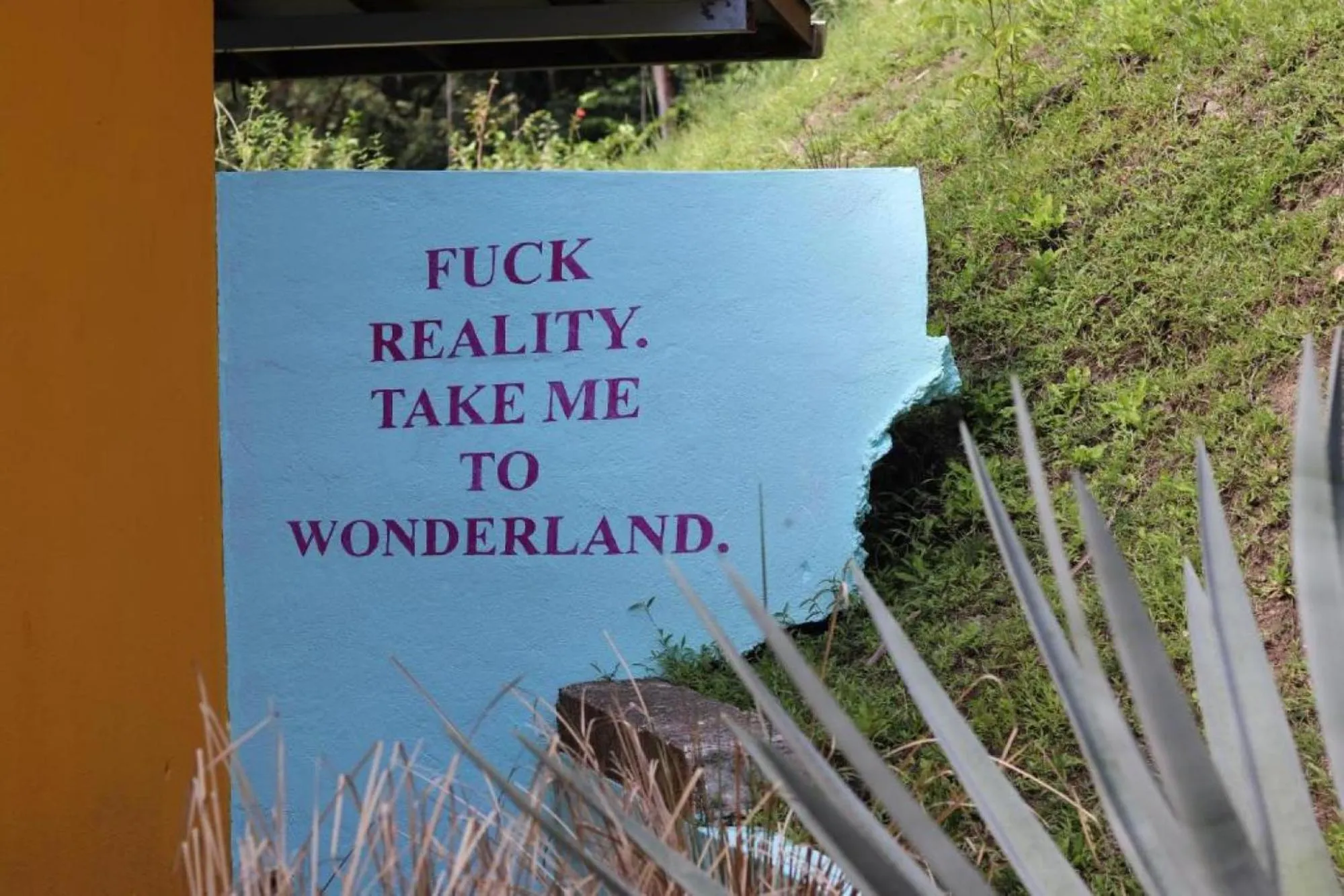 Natural landscape in Planet B Hostel - Adults Only