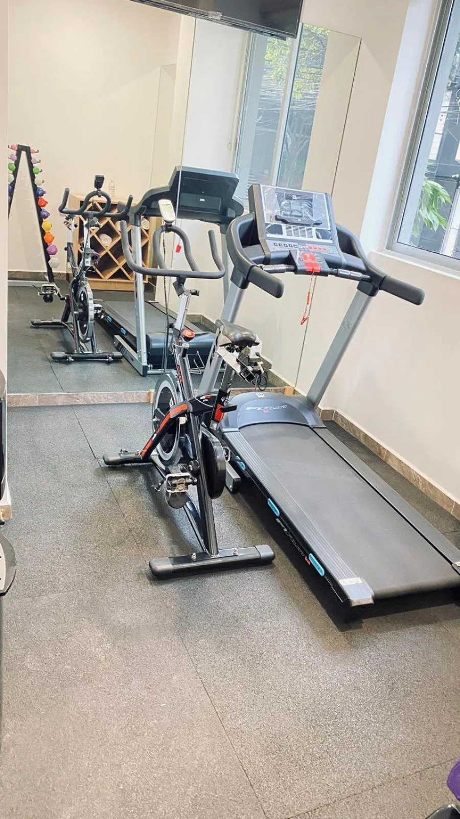 Fitness centre/facilities in Hotel Boutique Dawat WTC