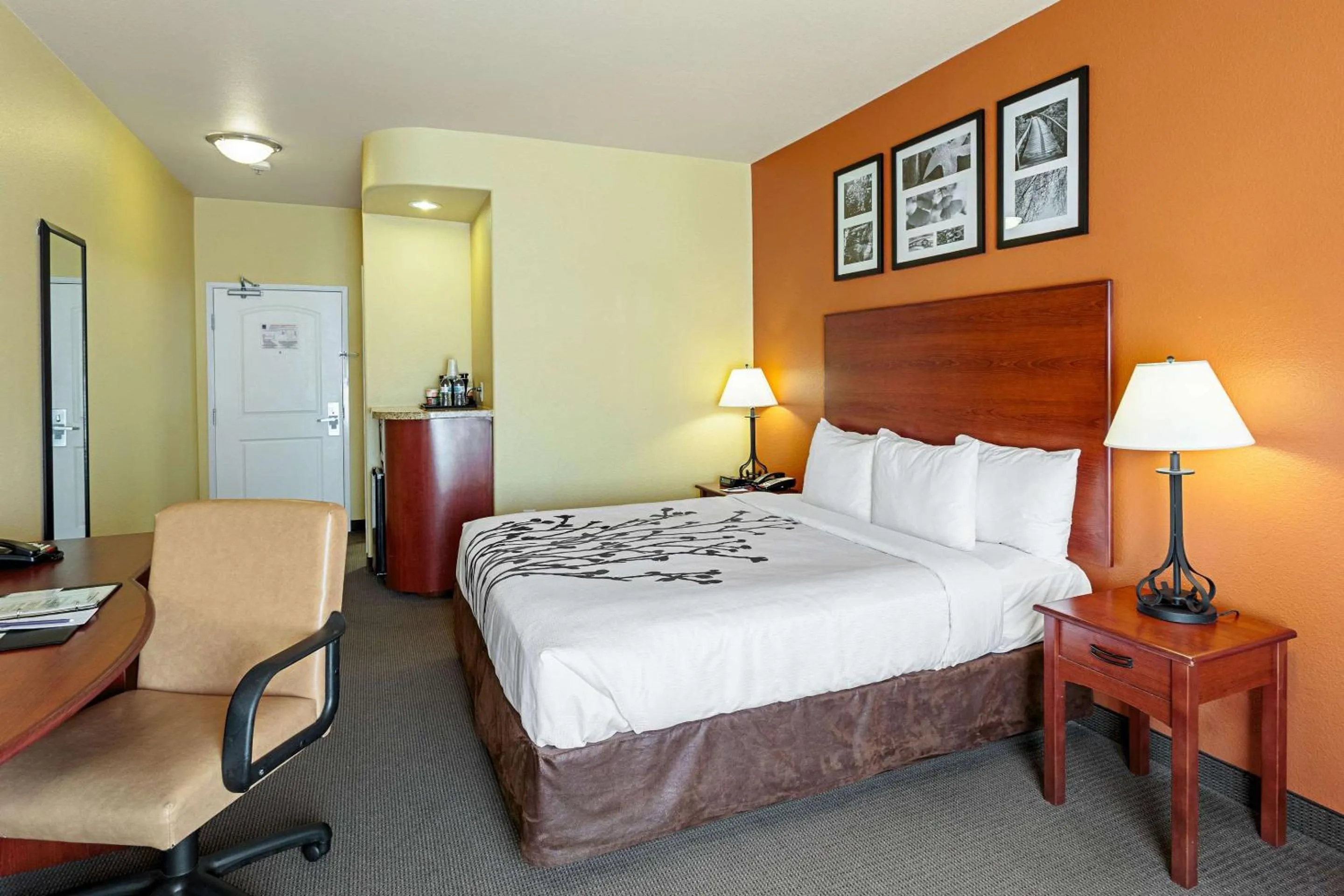 Photo of the whole room, Bed in Sleep Inn & Suites Tyler South