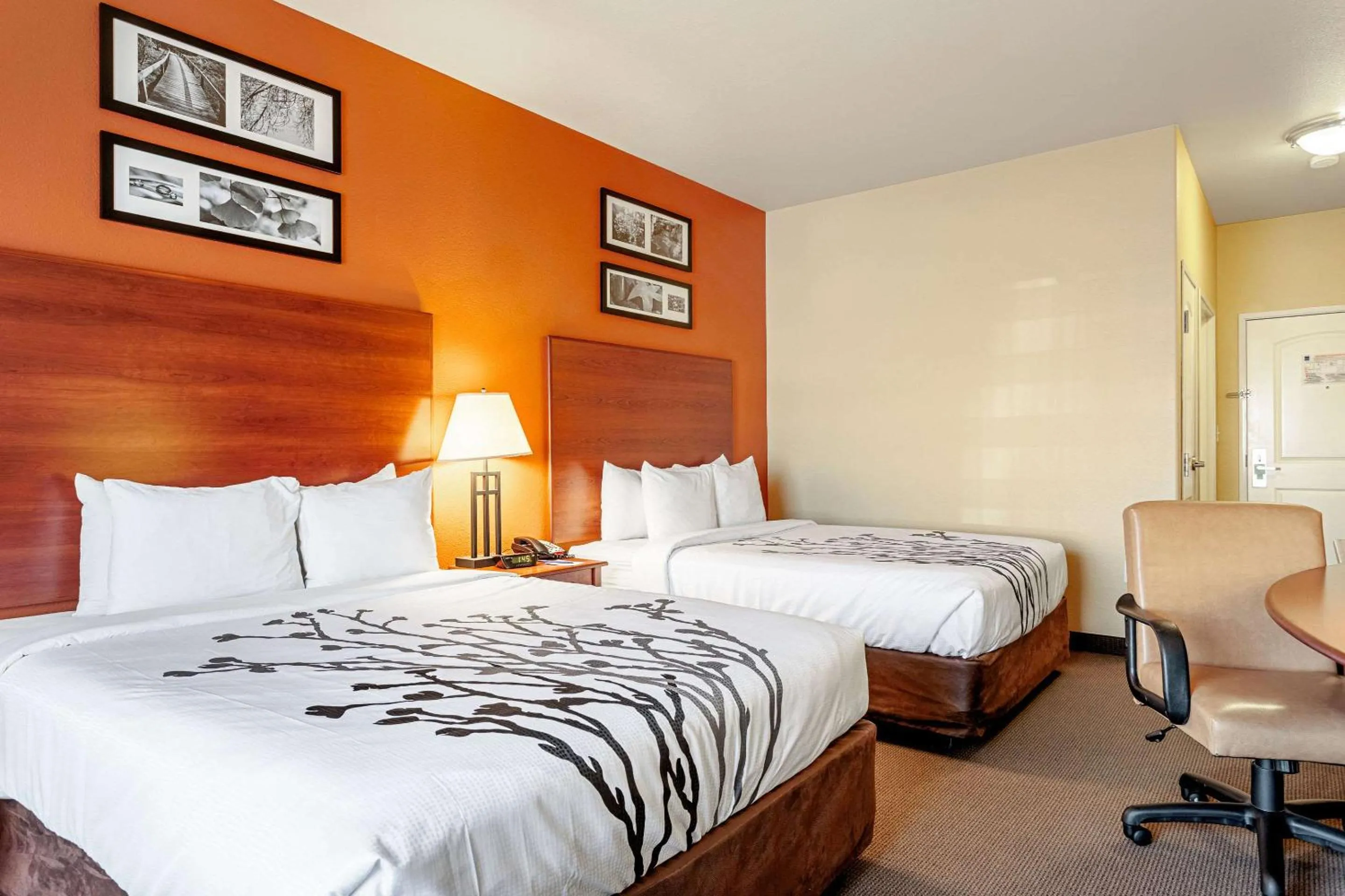 Photo of the whole room, Bed in Sleep Inn & Suites Tyler South