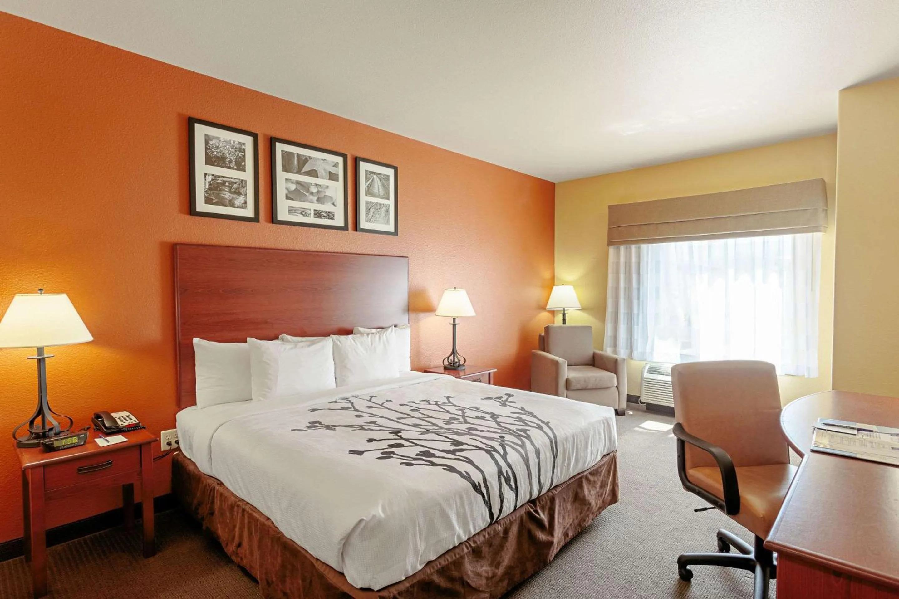 Photo of the whole room, Bed in Sleep Inn & Suites Tyler South