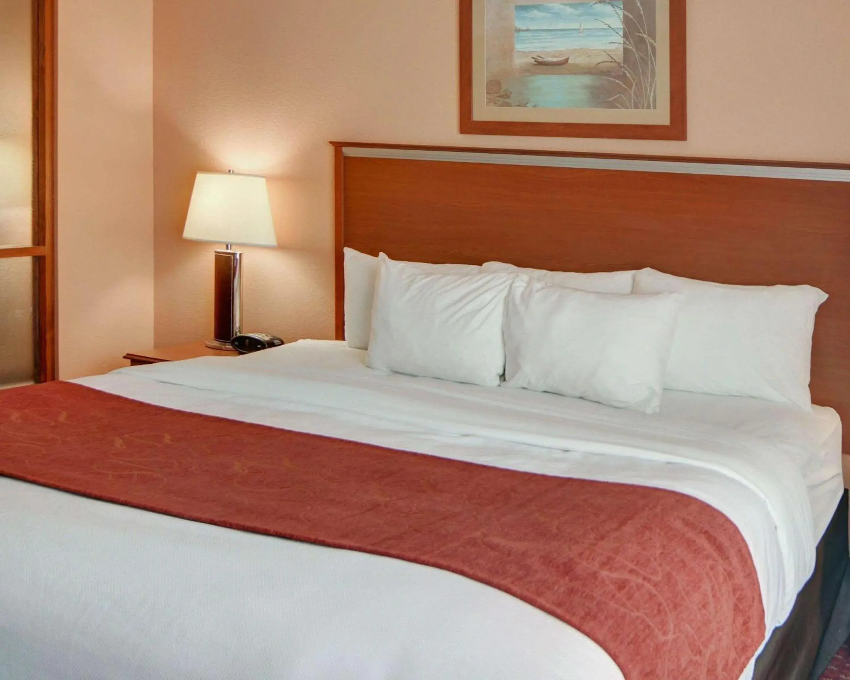 King Suite - Accessible/Non-Smoking in Quality Suites Near Cedar Creek Lake King Suite - Accessible/Non-Smoking in Quality Suites Near Cedar Creek Lake