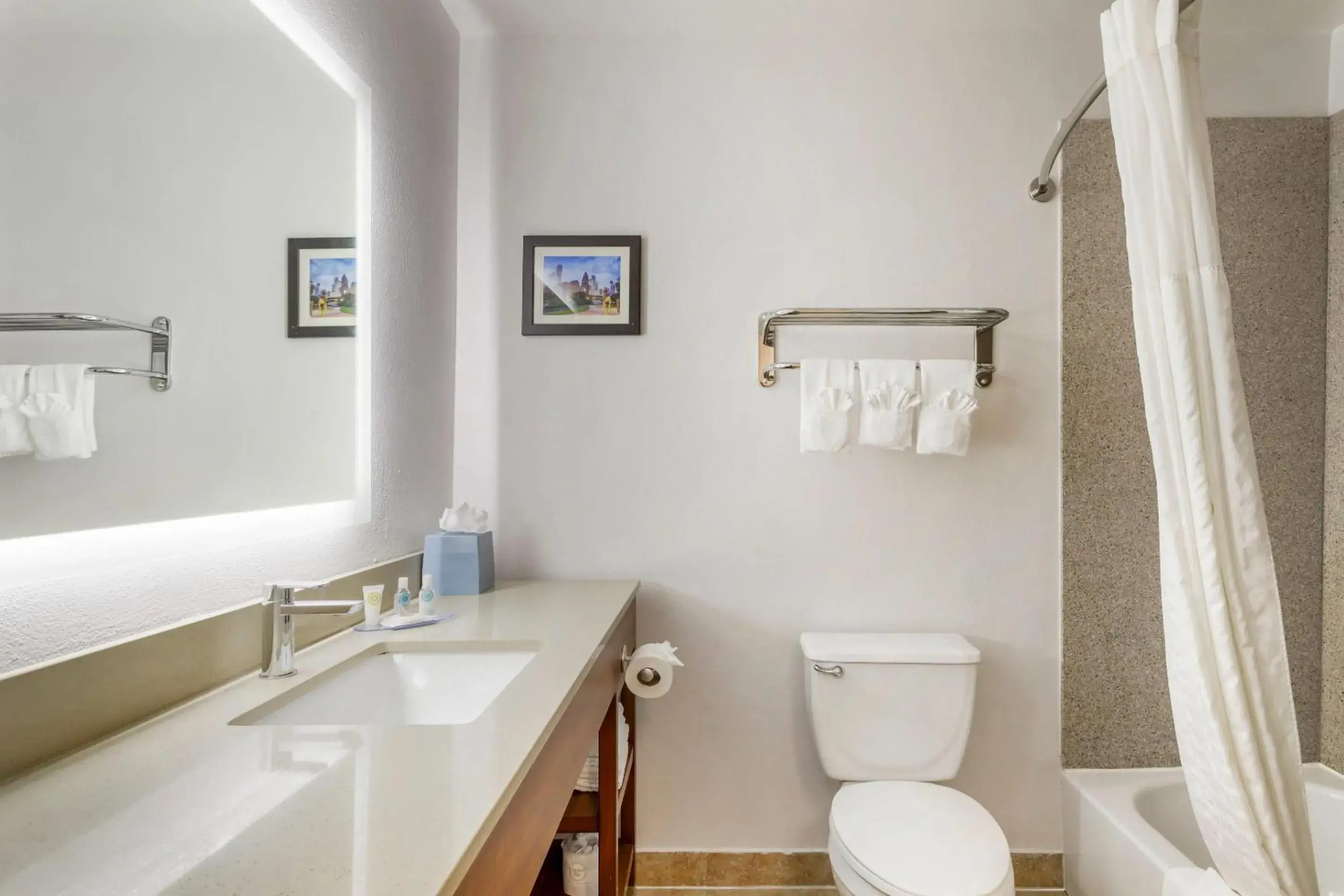 Bedroom in Comfort Inn & Suites Houston FM1960 - Champions Bedroom in Comfort Inn & Suites Houston FM1960 - Champions