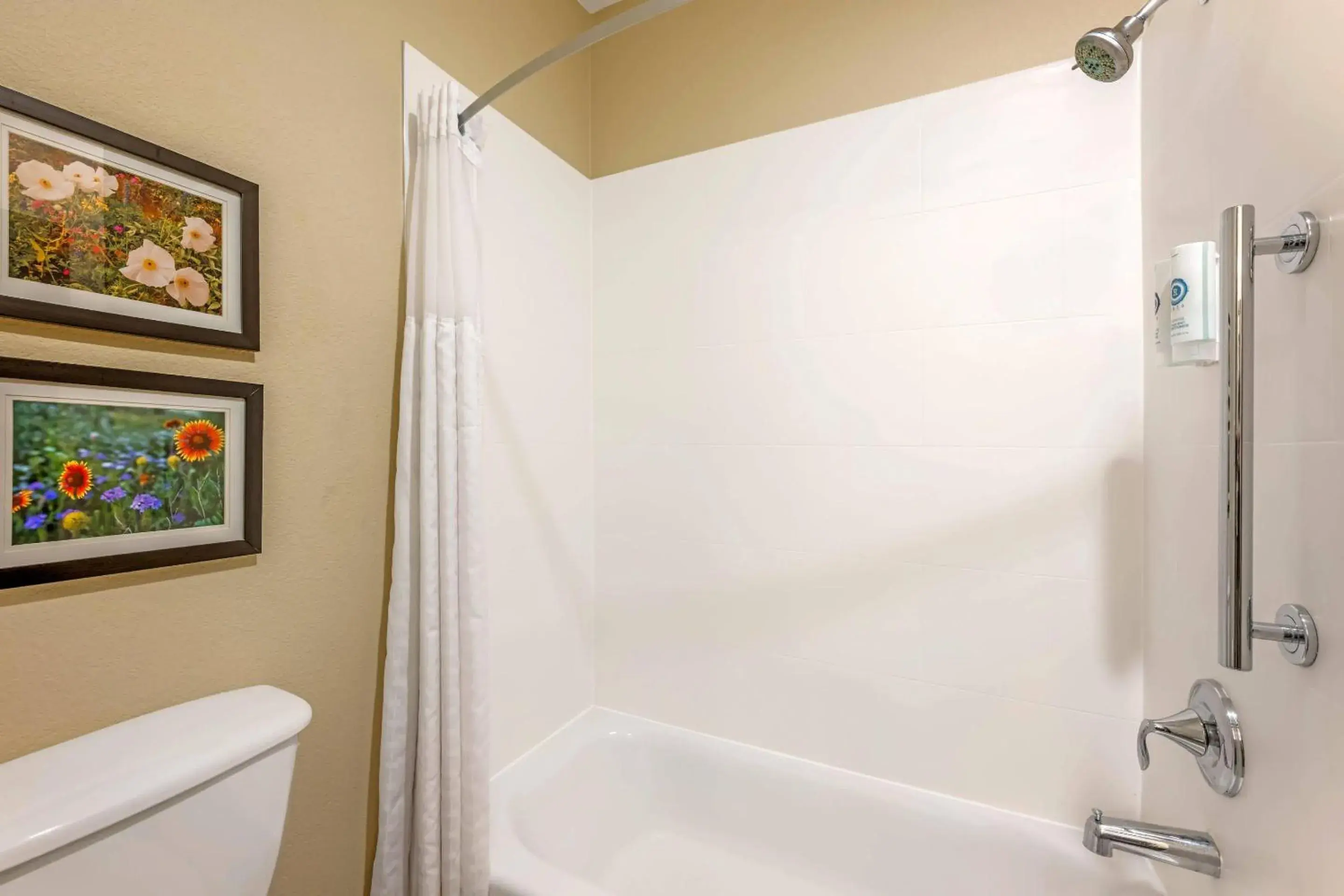 Bedroom in Comfort Inn I-20 Midland Stanton Bedroom in Comfort Inn I-20 Midland Stanton