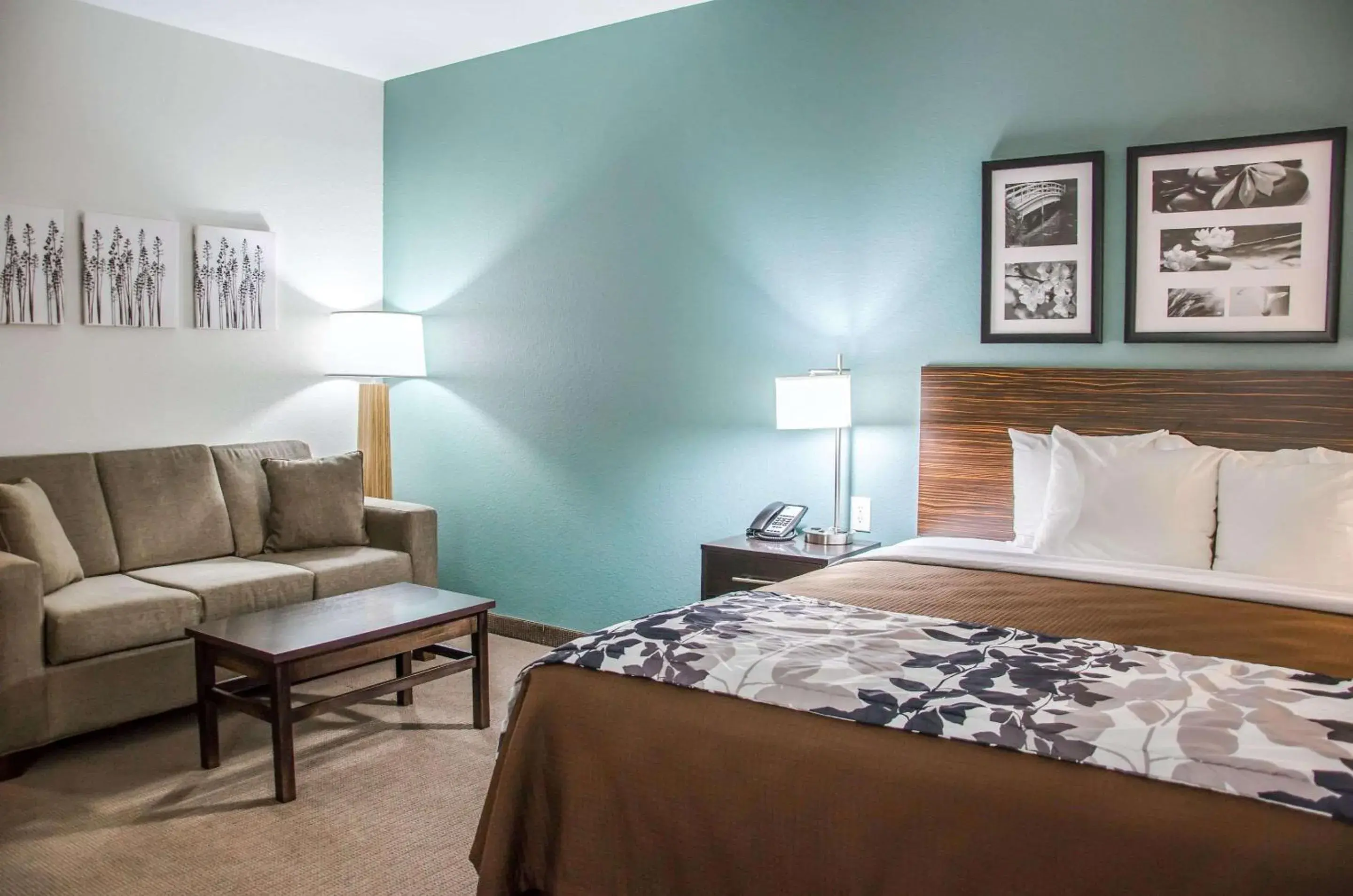 Photo of the whole room in Sleep Inn & Suites Center Photo of the whole room in Sleep Inn & Suites Center