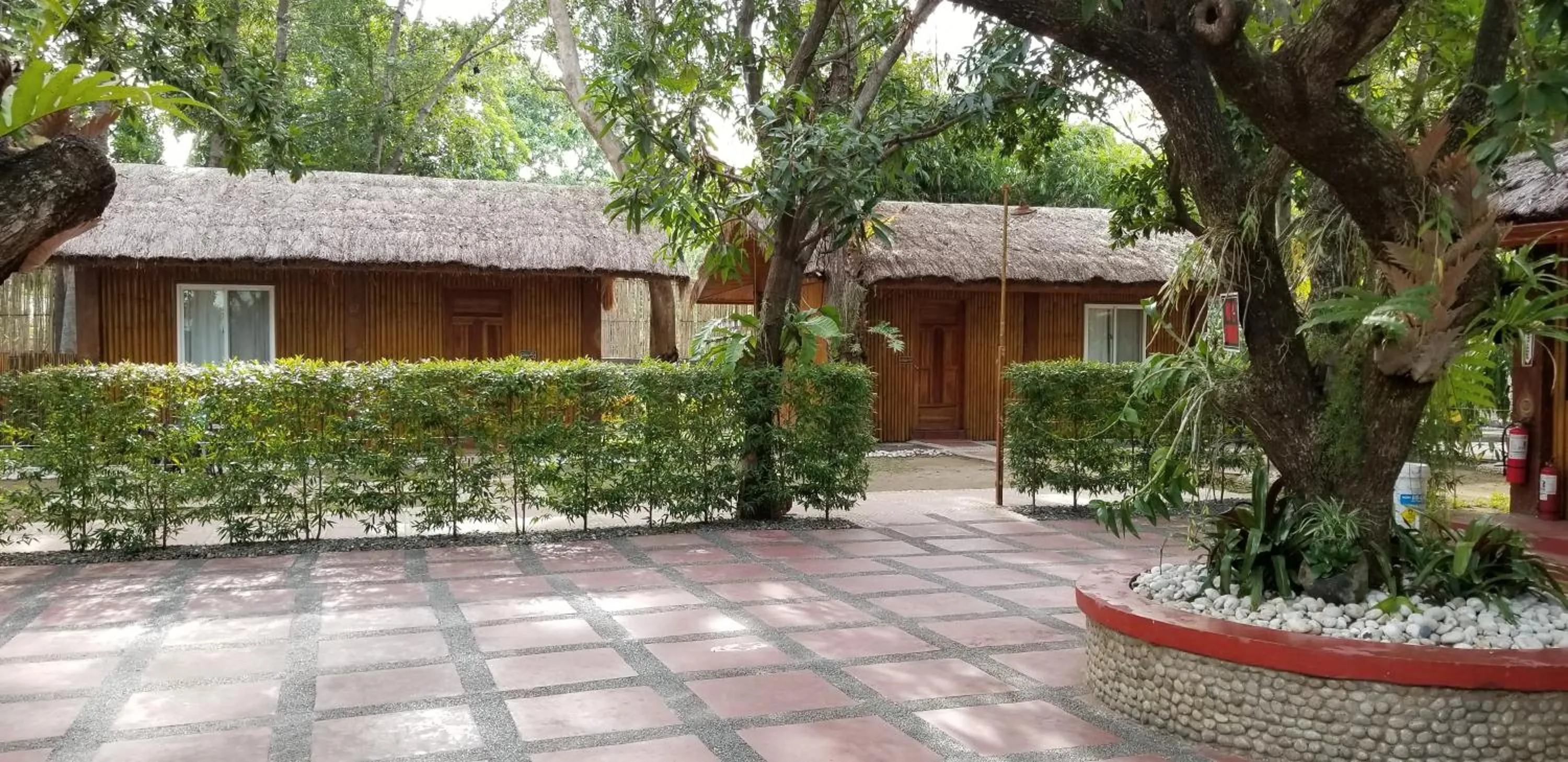 Garden in Buenavista Family Inn