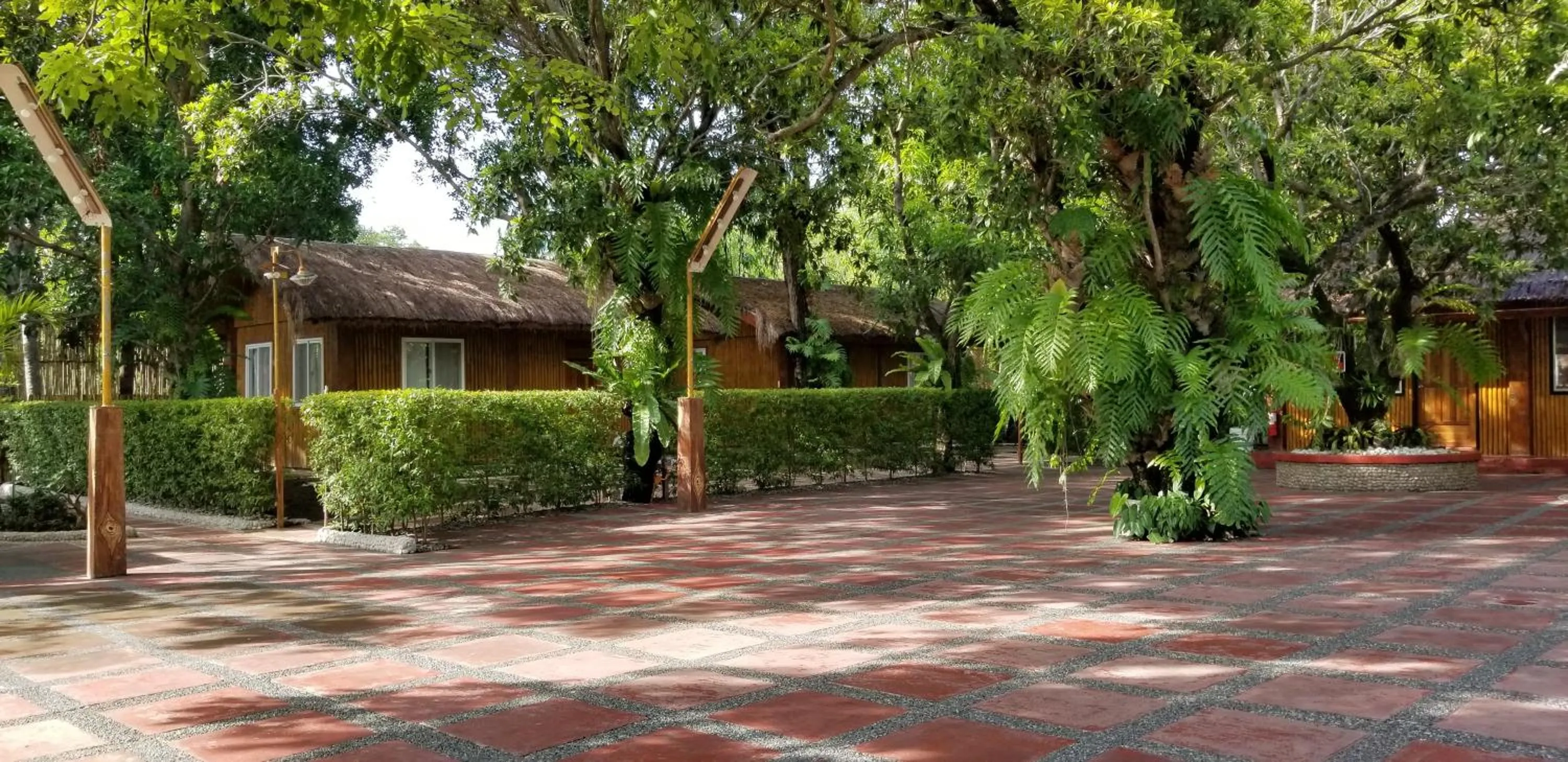 Garden in Buenavista Family Inn
