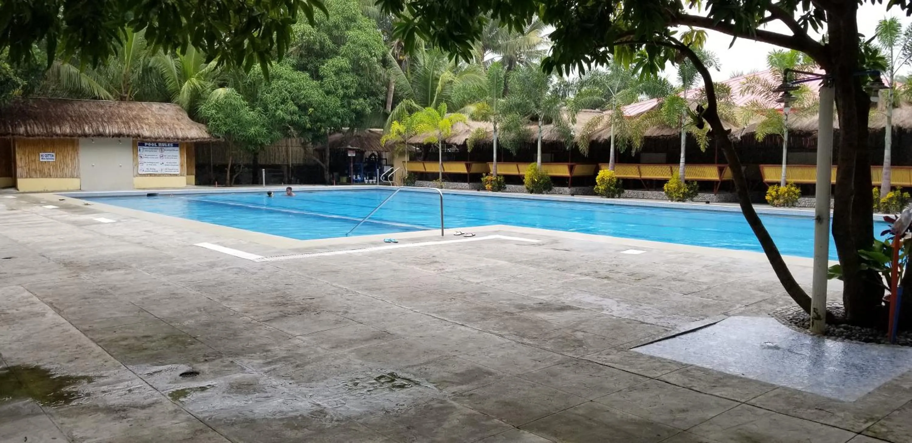 Swimming pool in Buenavista Family Inn