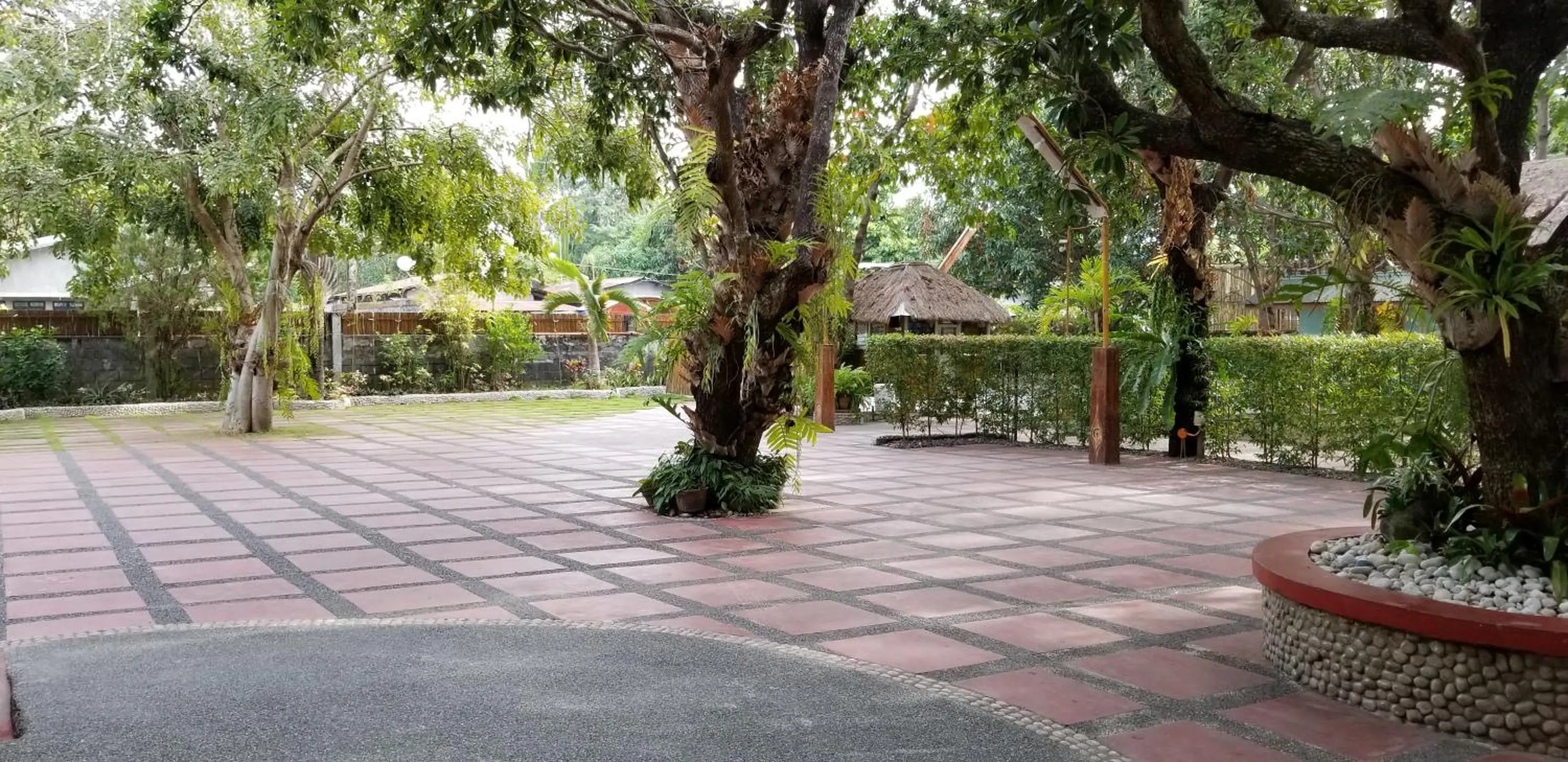 Garden in Buenavista Family Inn