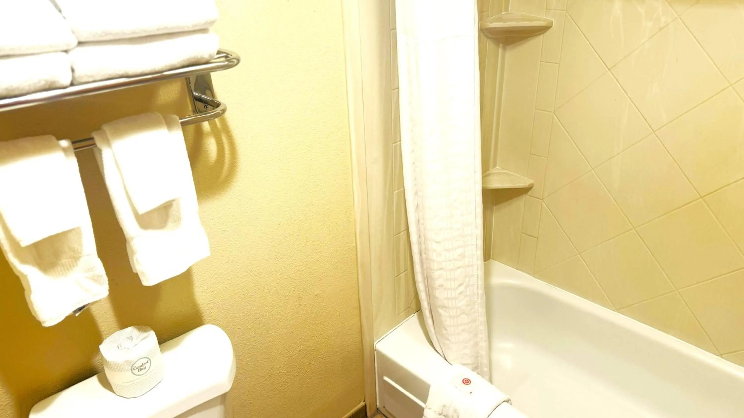 Shower in Comfort Inn Salt Lake City Downtown