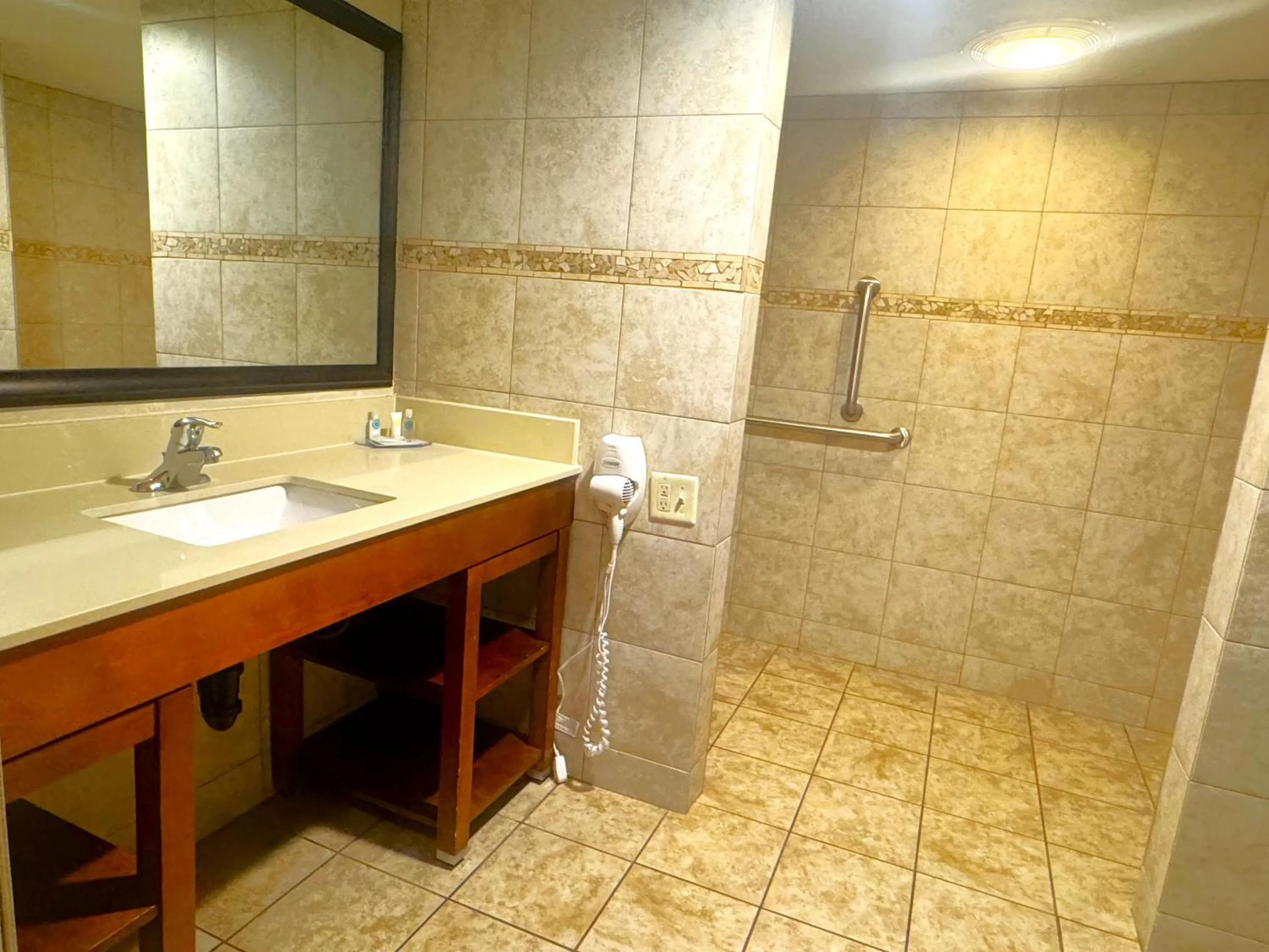 Bathroom in Comfort Inn Salt Lake City Downtown