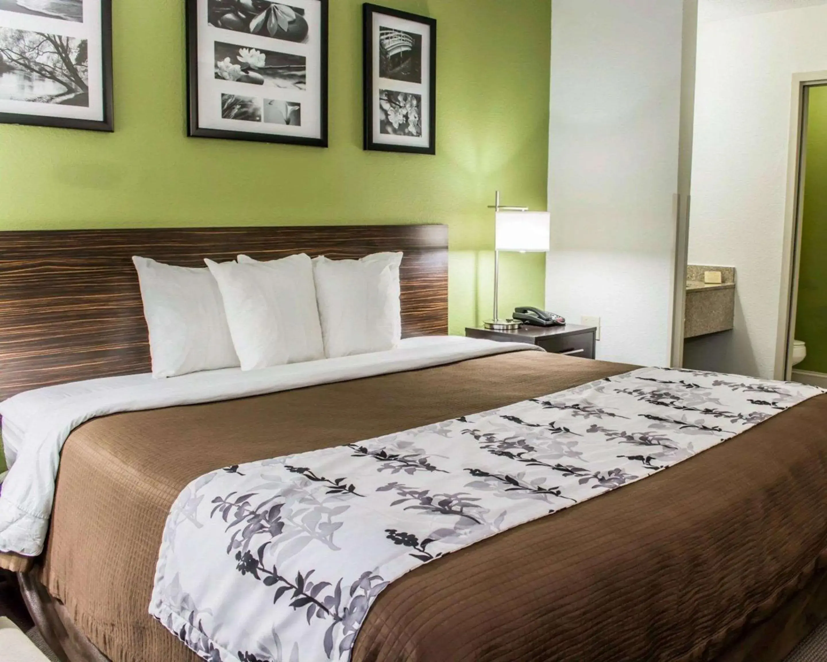 Photo of the whole room, Bed in Sleep Inn Richmond South Photo of the whole room, Bed in Sleep Inn Richmond South