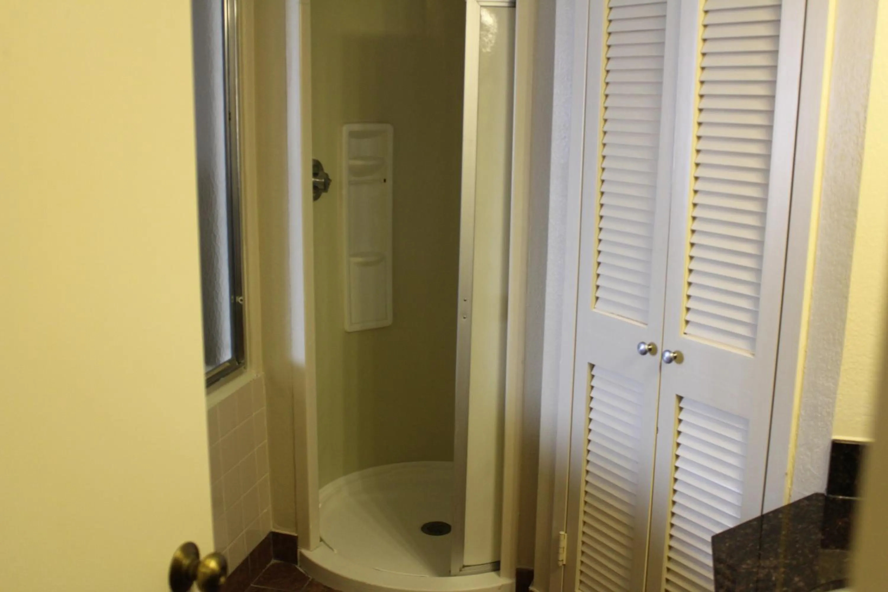Shower in Comfort Inn University Center