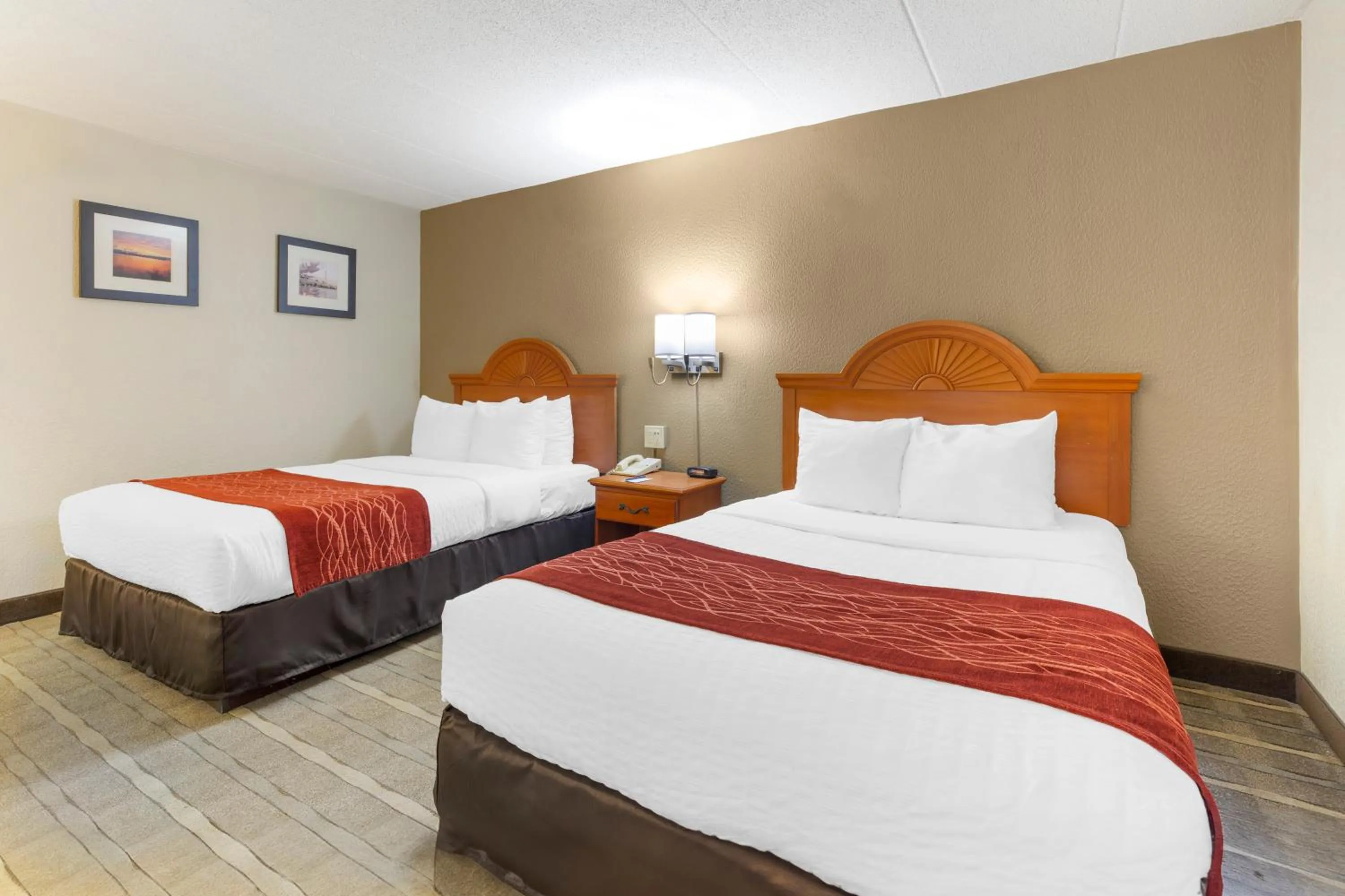 Photo of the whole room, Bed in Comfort Inn University Center