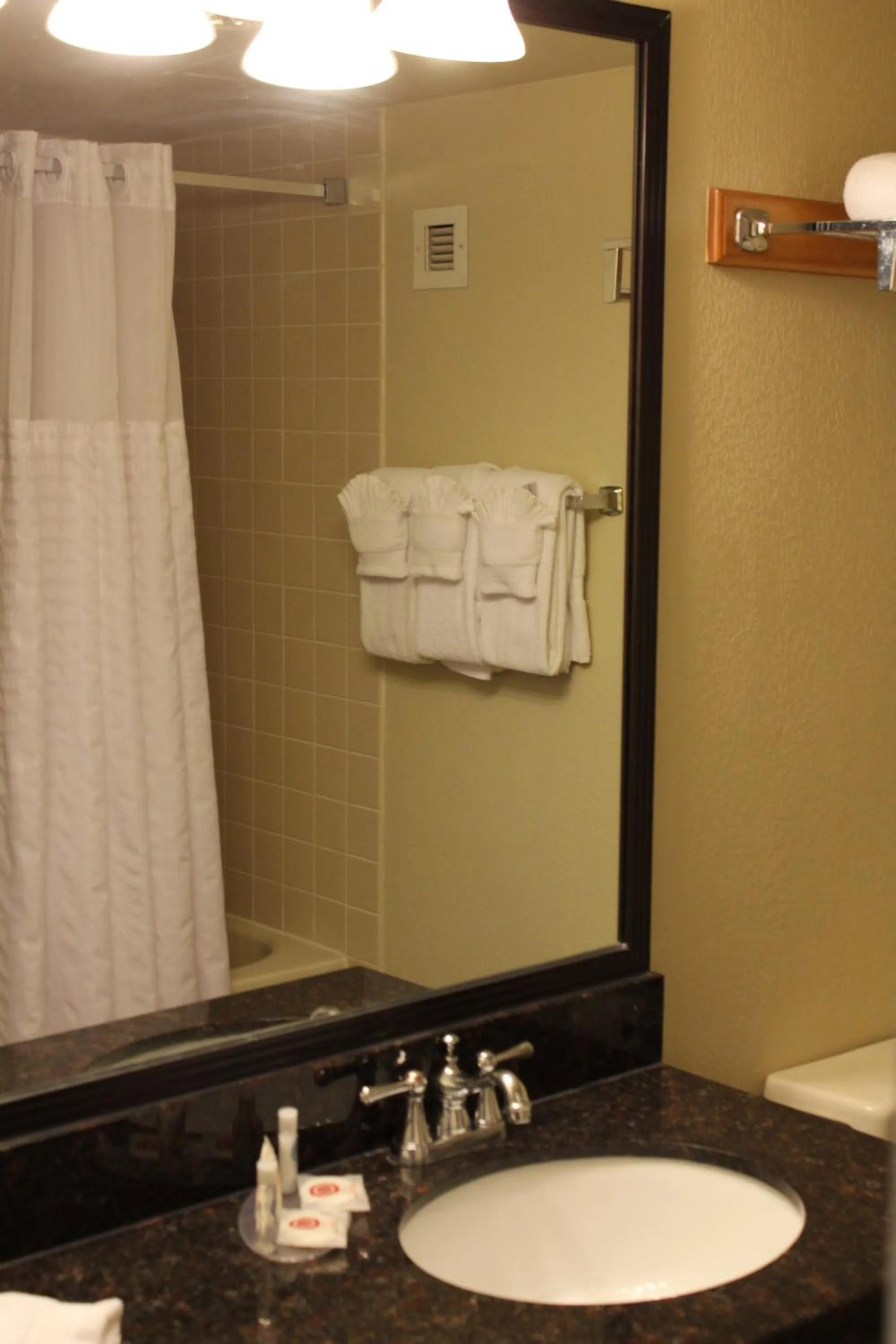 Bathroom in Comfort Inn University Center