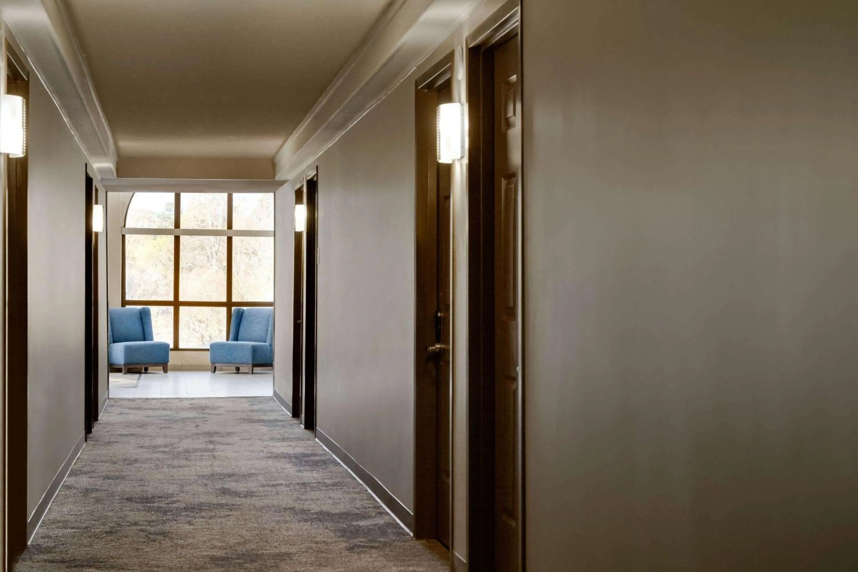 Other in Wingate by Wyndham Williamsburg