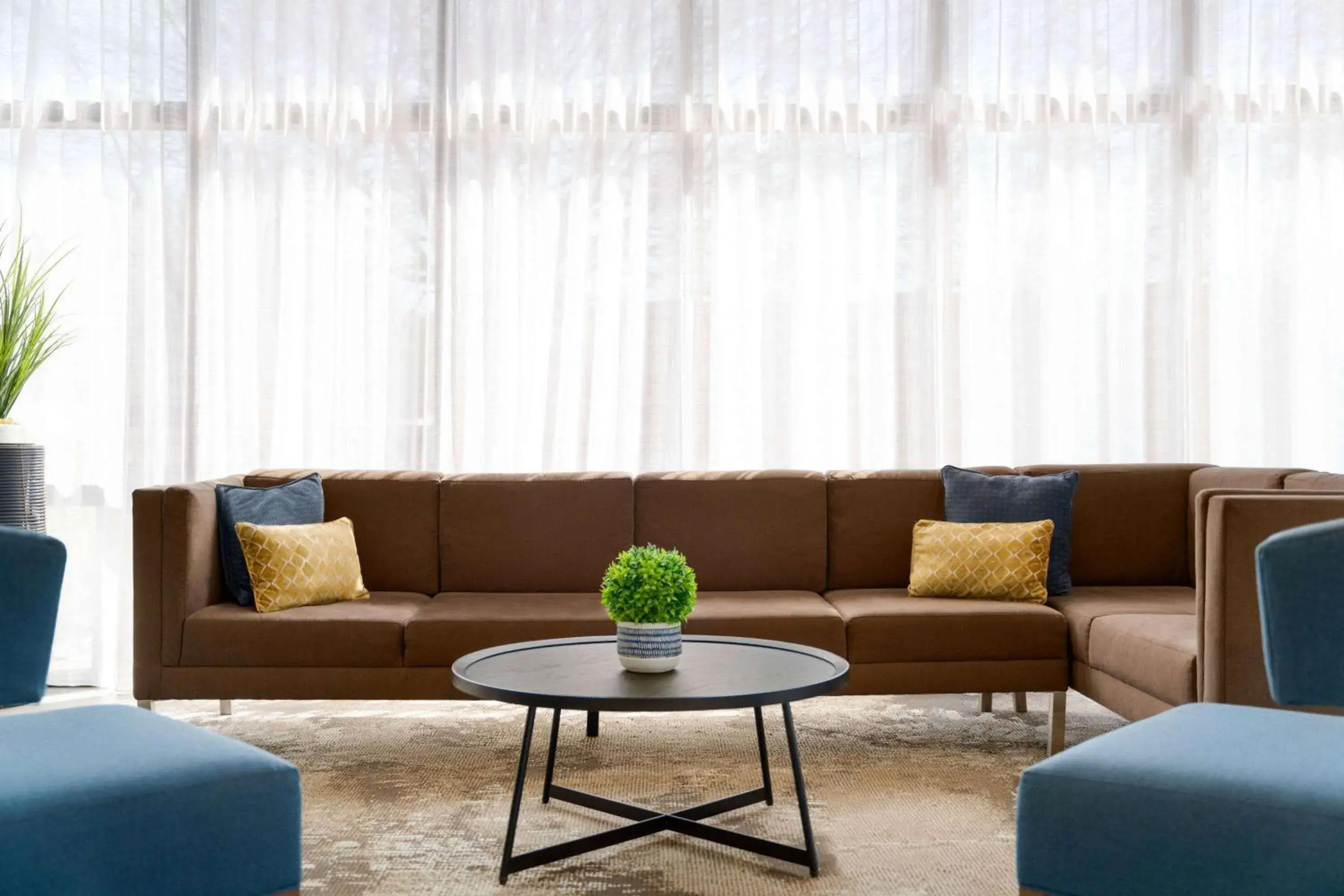 Lobby or reception in Wingate by Wyndham Williamsburg Lobby or reception in Wingate by Wyndham Williamsburg