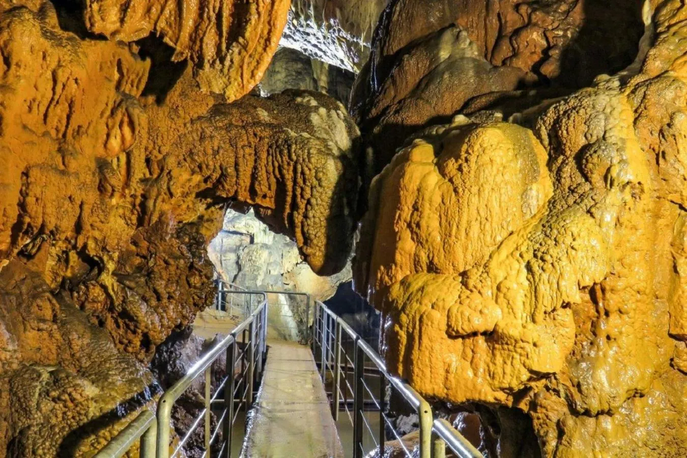 Activities in Hotel A plus