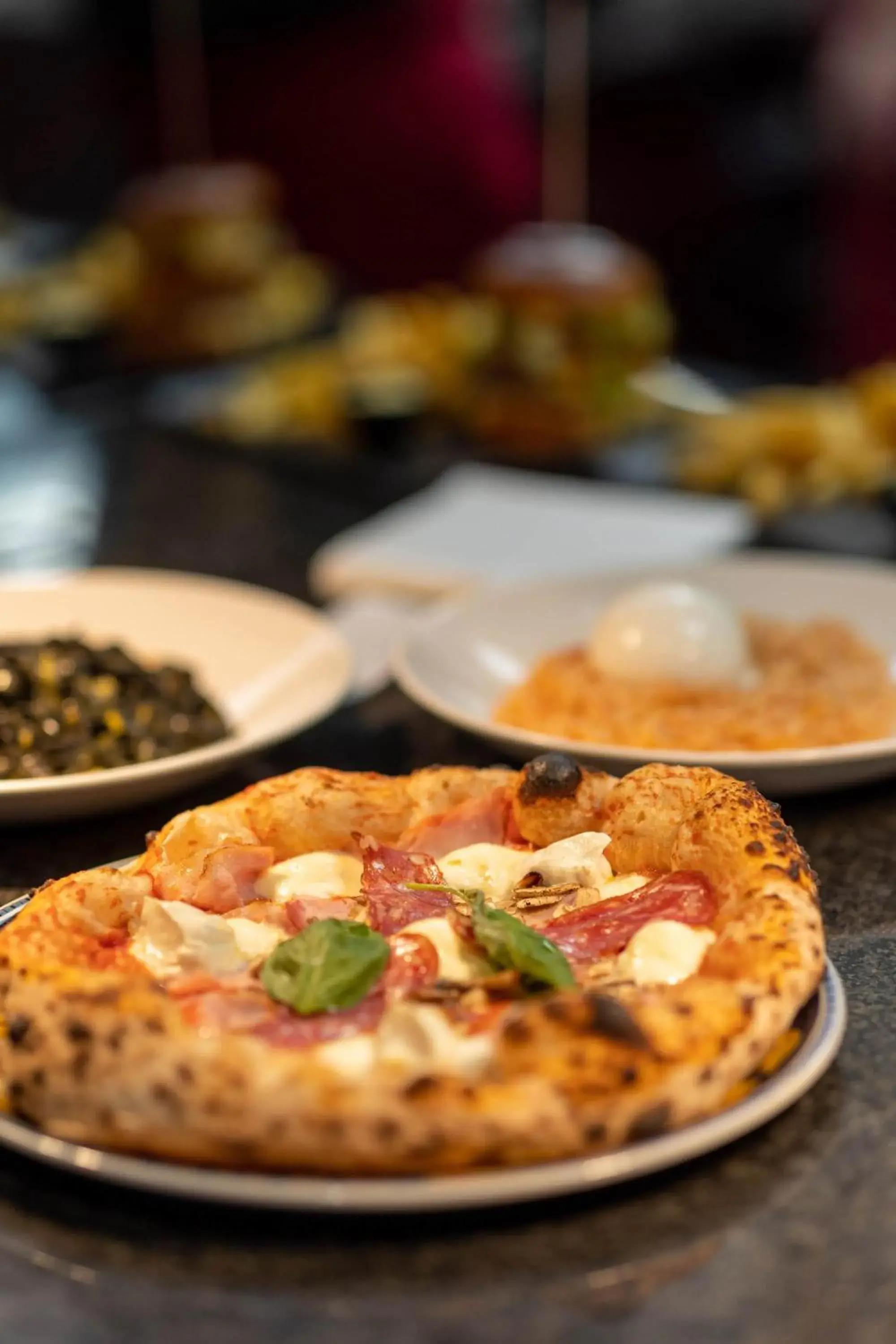 Restaurant/places to eat in Hotel A plus Restaurant/places to eat in Hotel A plus