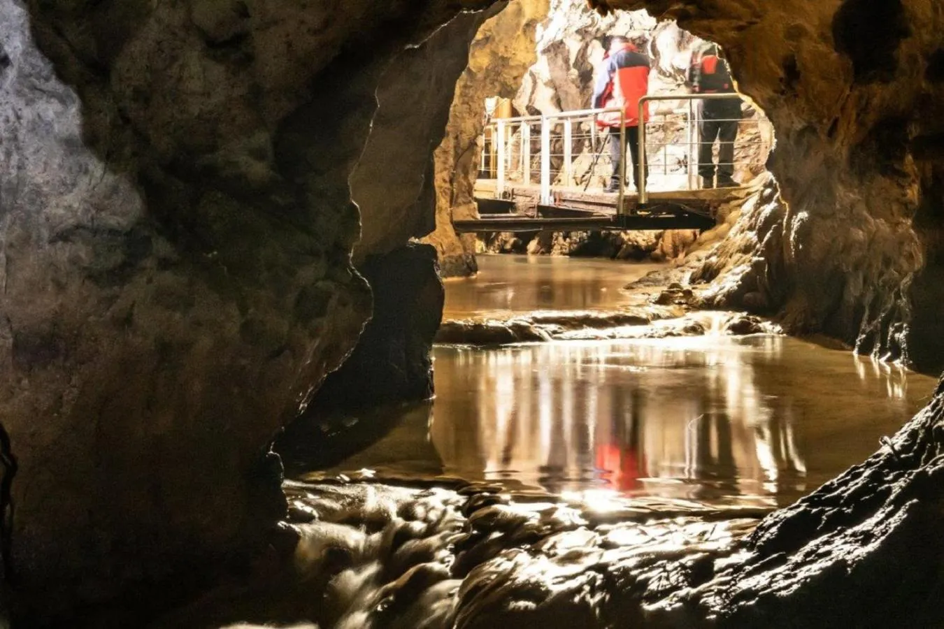 Activities in Hotel A plus