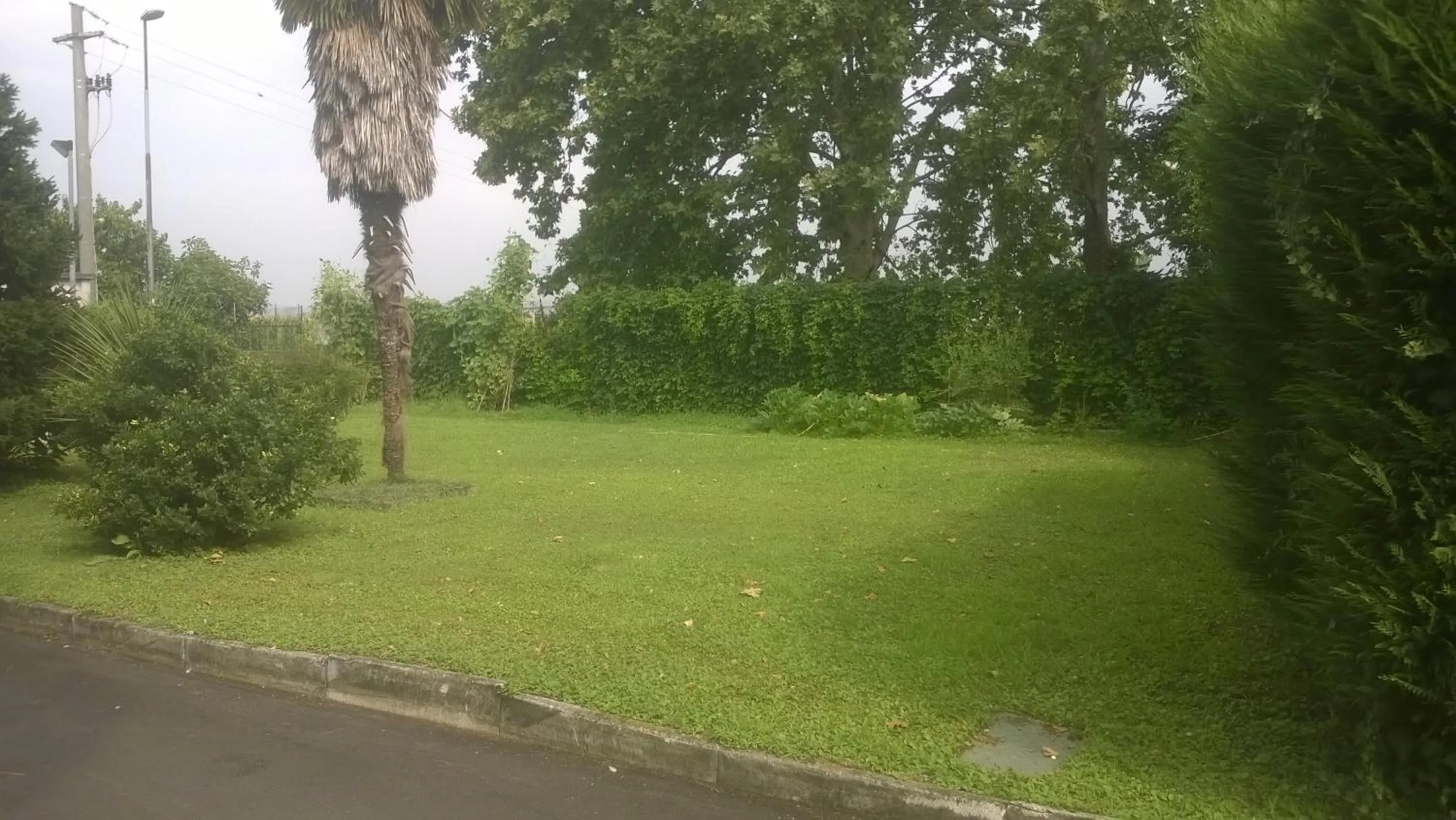 Garden in Motel Ranch