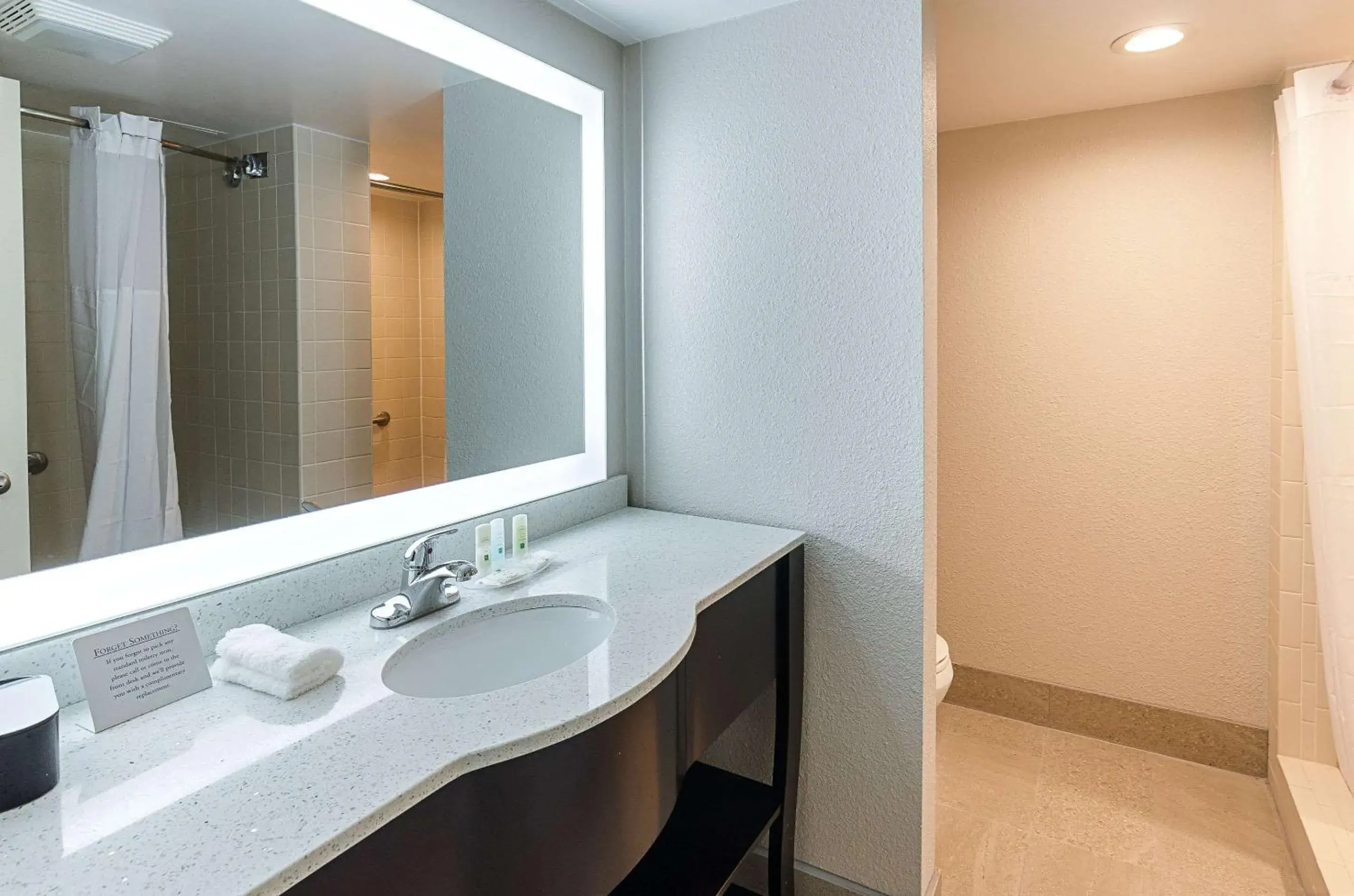 Bathroom in Quality Inn Tanglewood Bathroom in Quality Inn Tanglewood