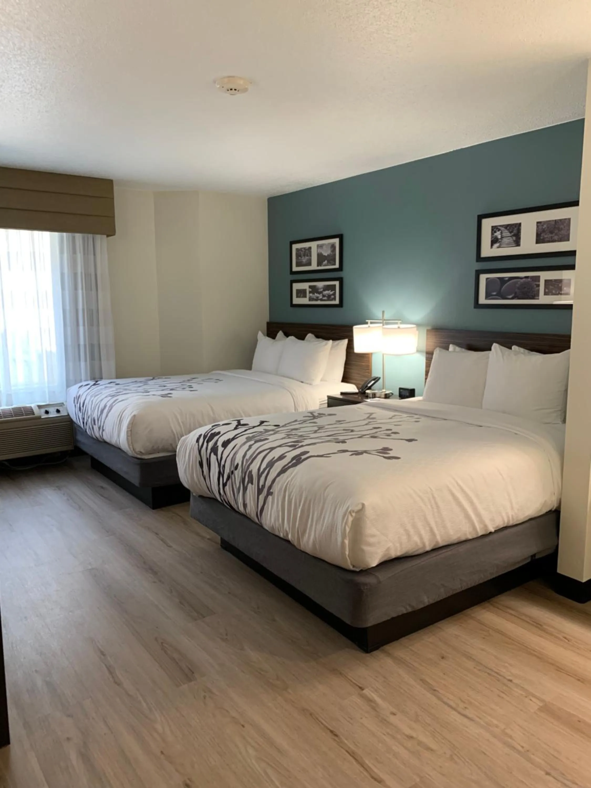 Bedroom, Bed in Sleep Inn Staunton