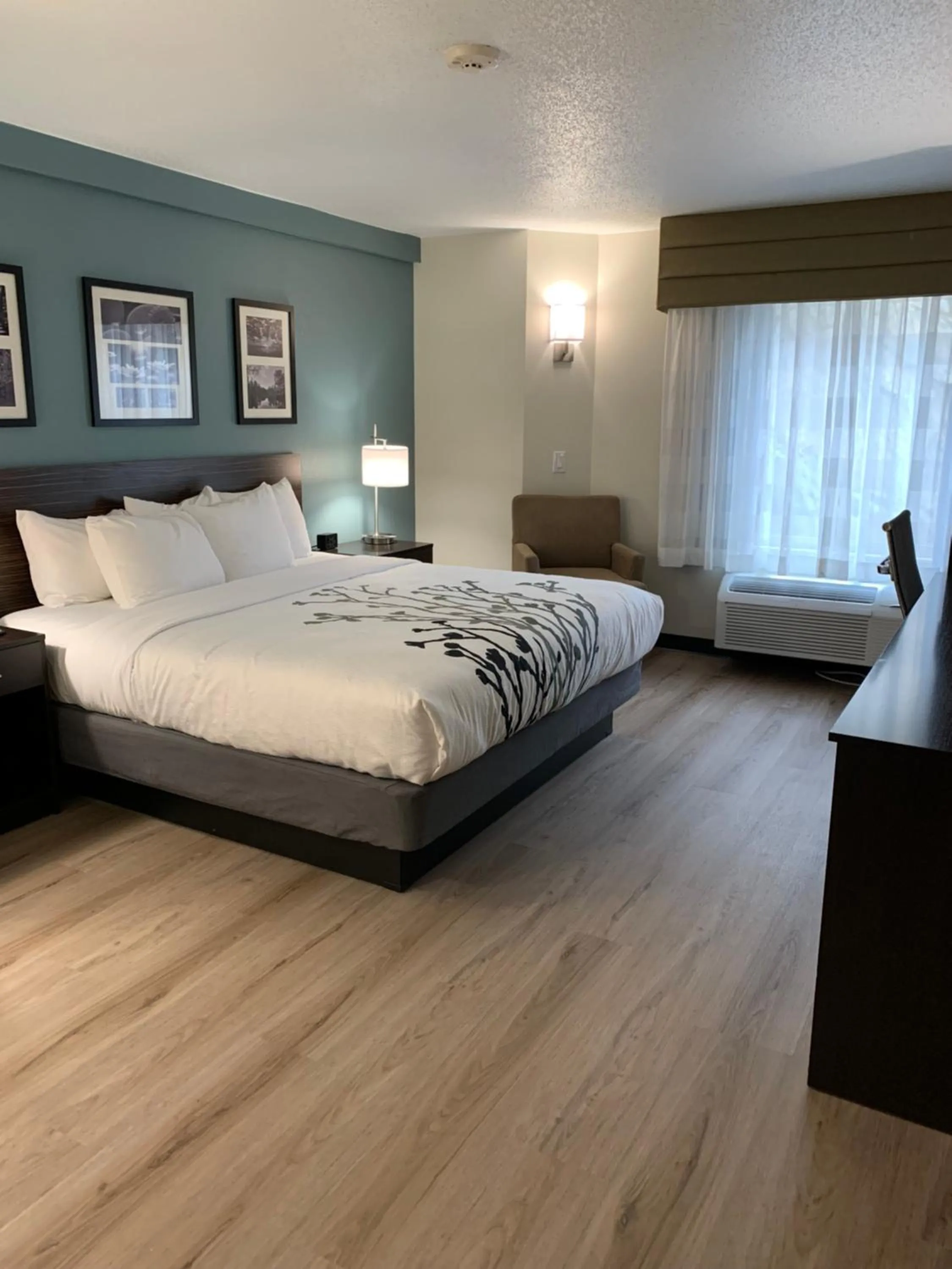 Bed in Sleep Inn Staunton